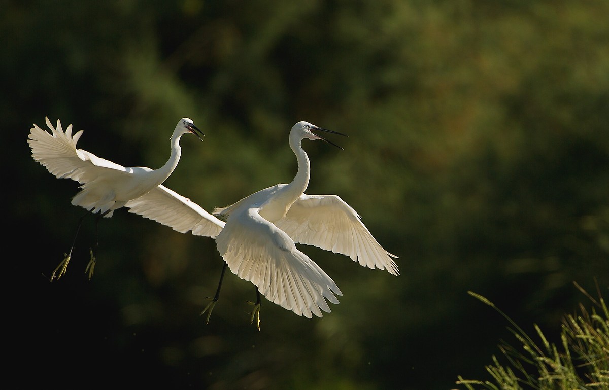 We continue to fight