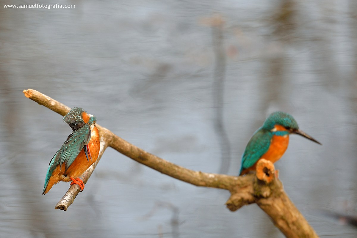 Perchè non mi guardi?