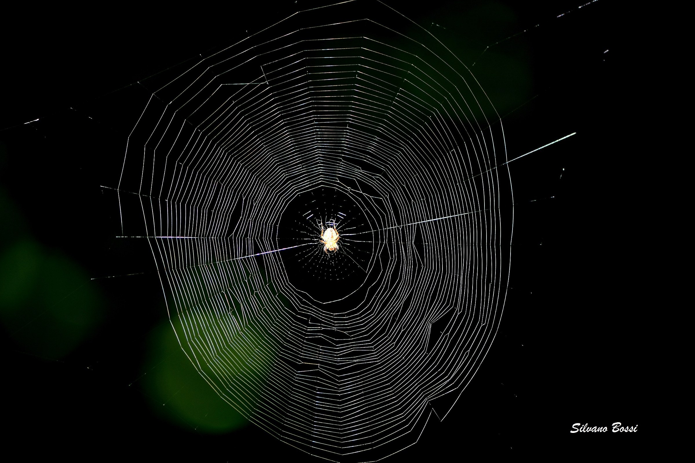 dopo il lavoro ..attesa cena