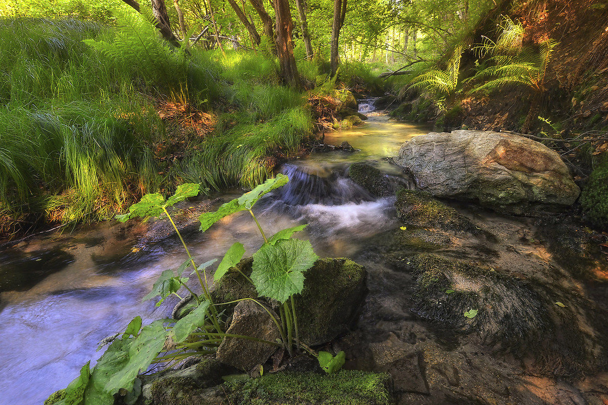 In the lap of nature