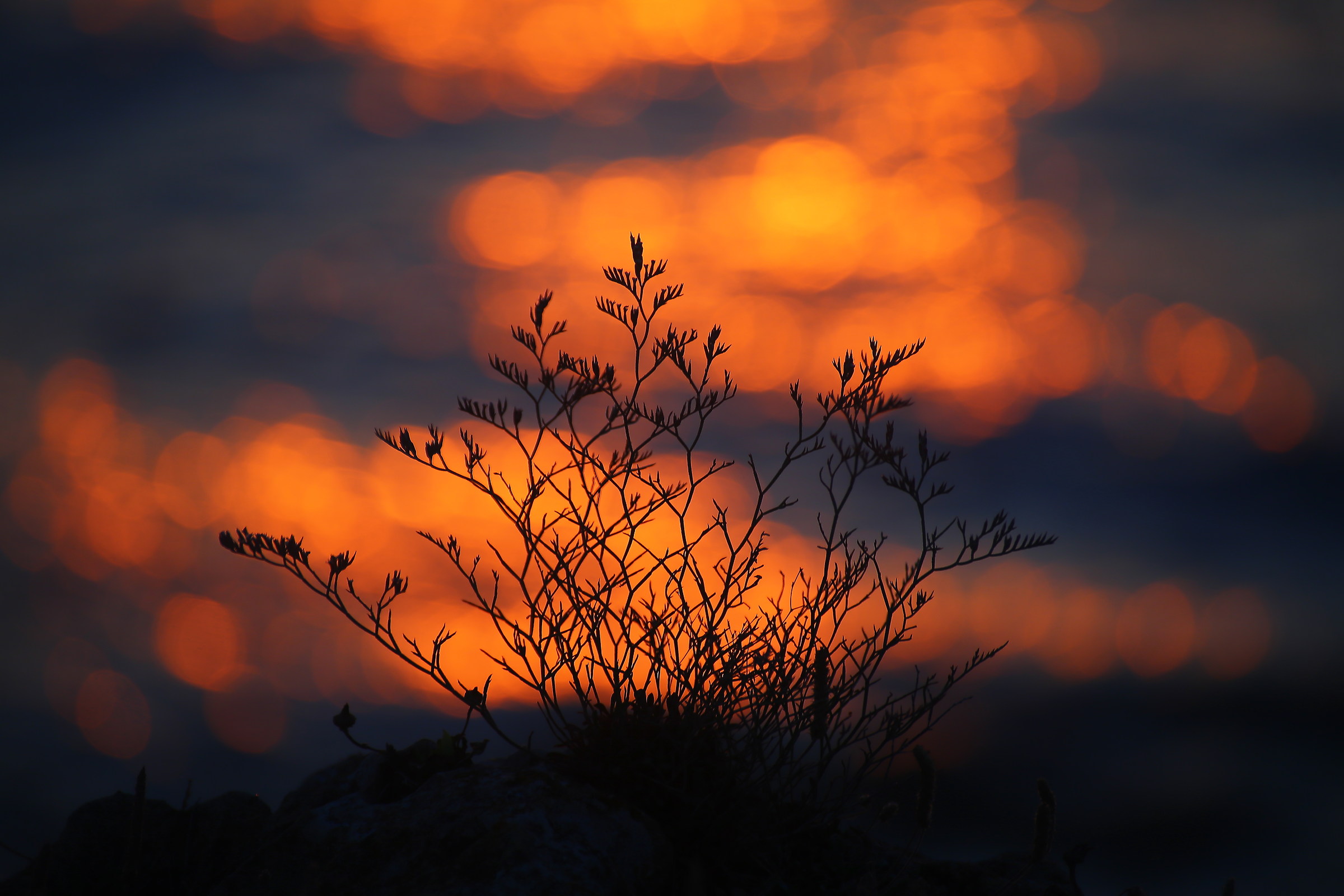 on the rocks at sunset
