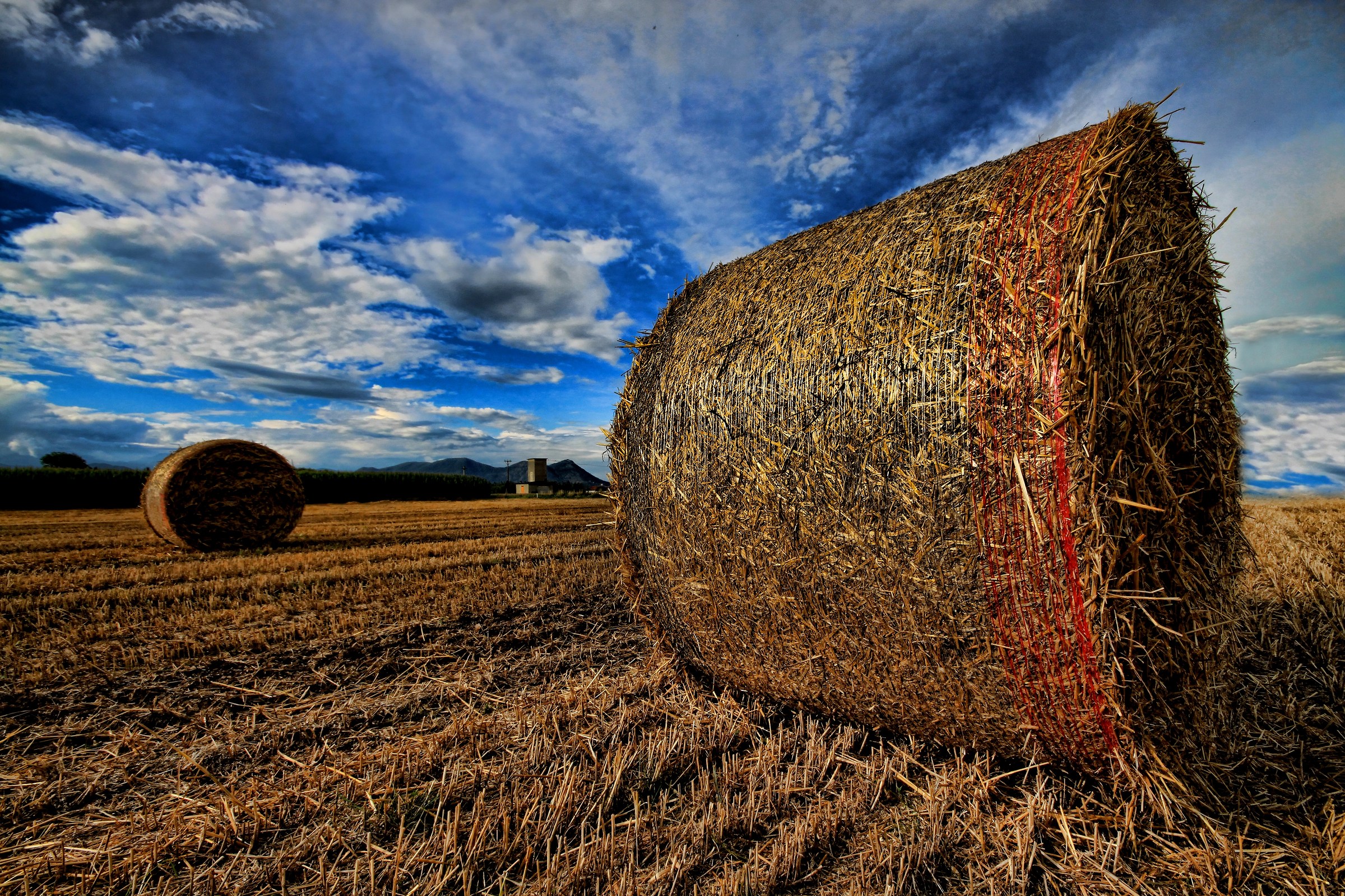 campi del pinerolese