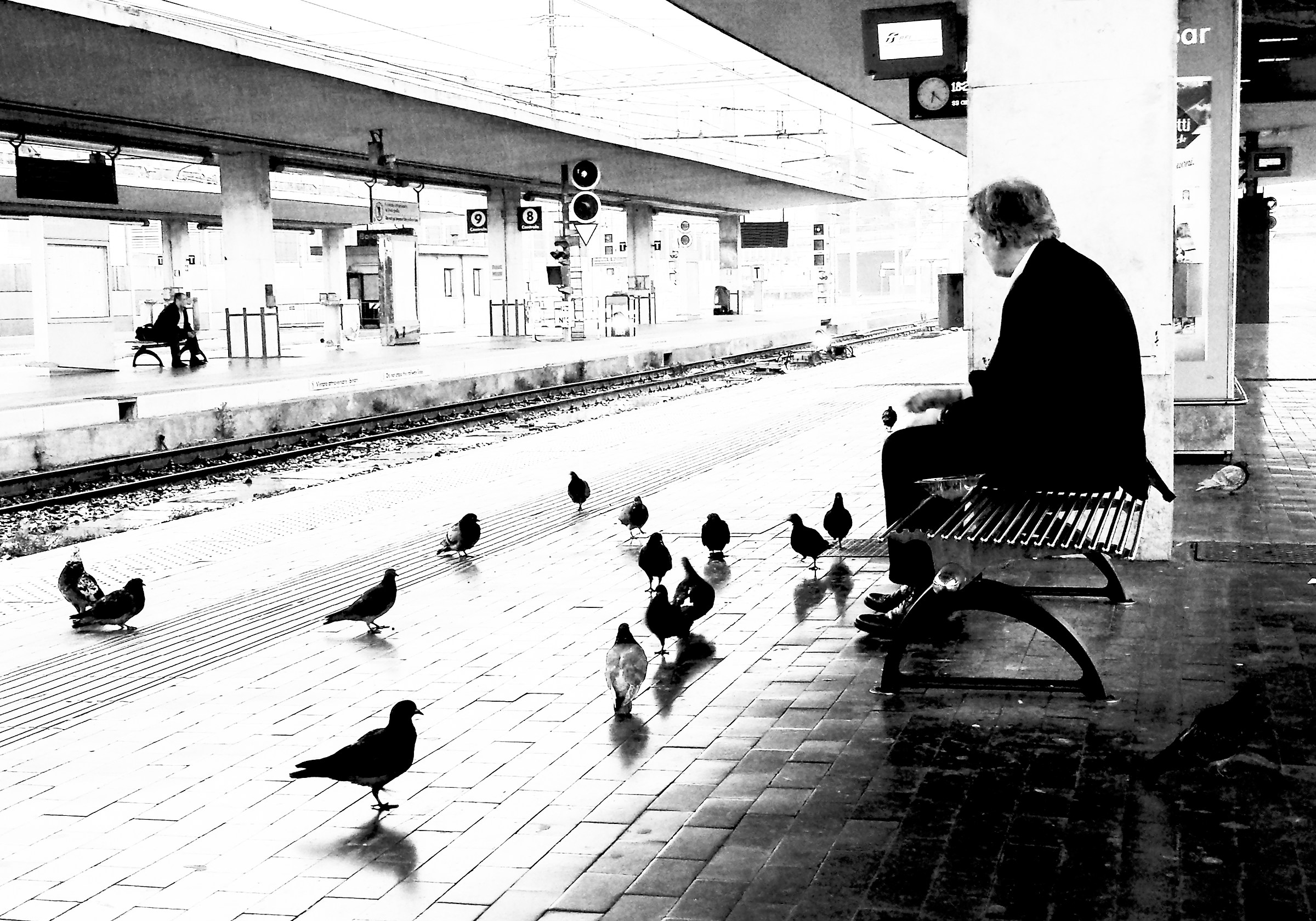 O beata solitudo, o sola beatitudo (Corneille Muys)