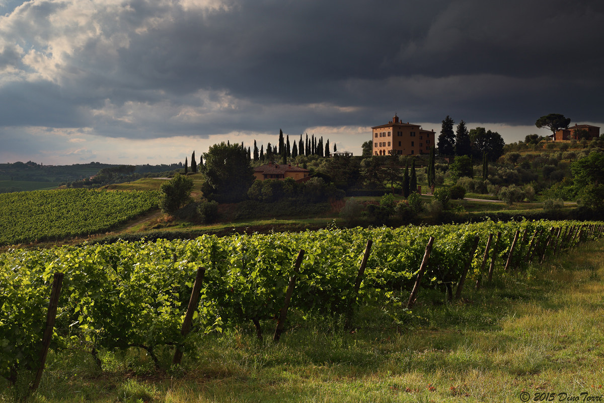 "Nobile di Montepulciano"