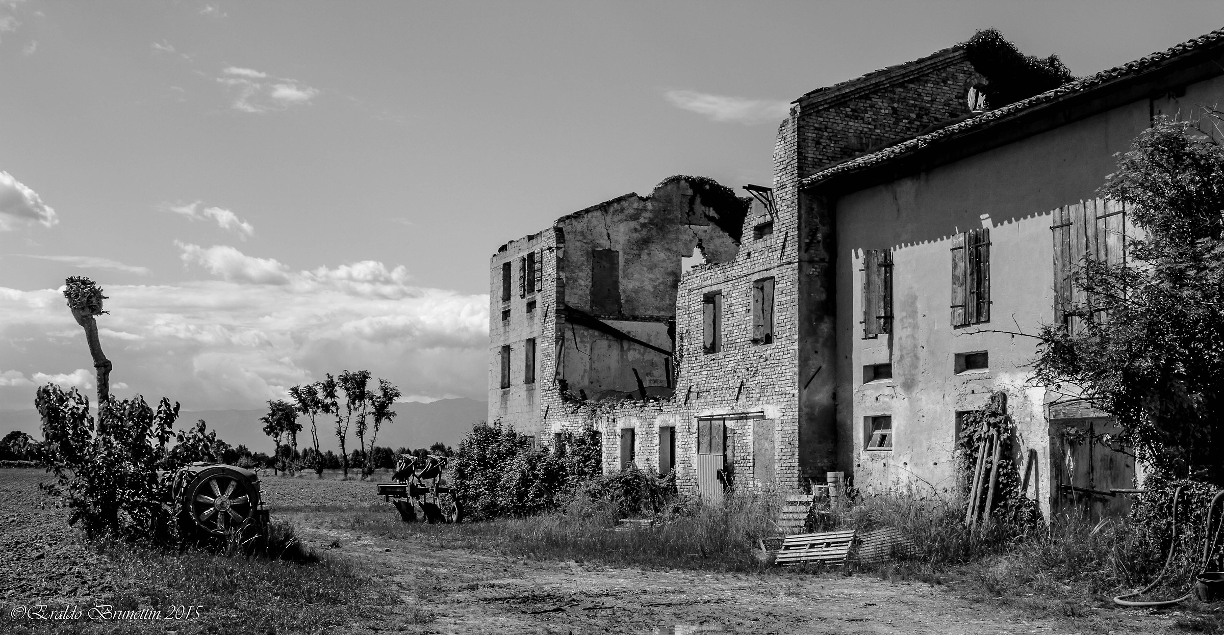 Abbandonata ma ancora piena di vita.