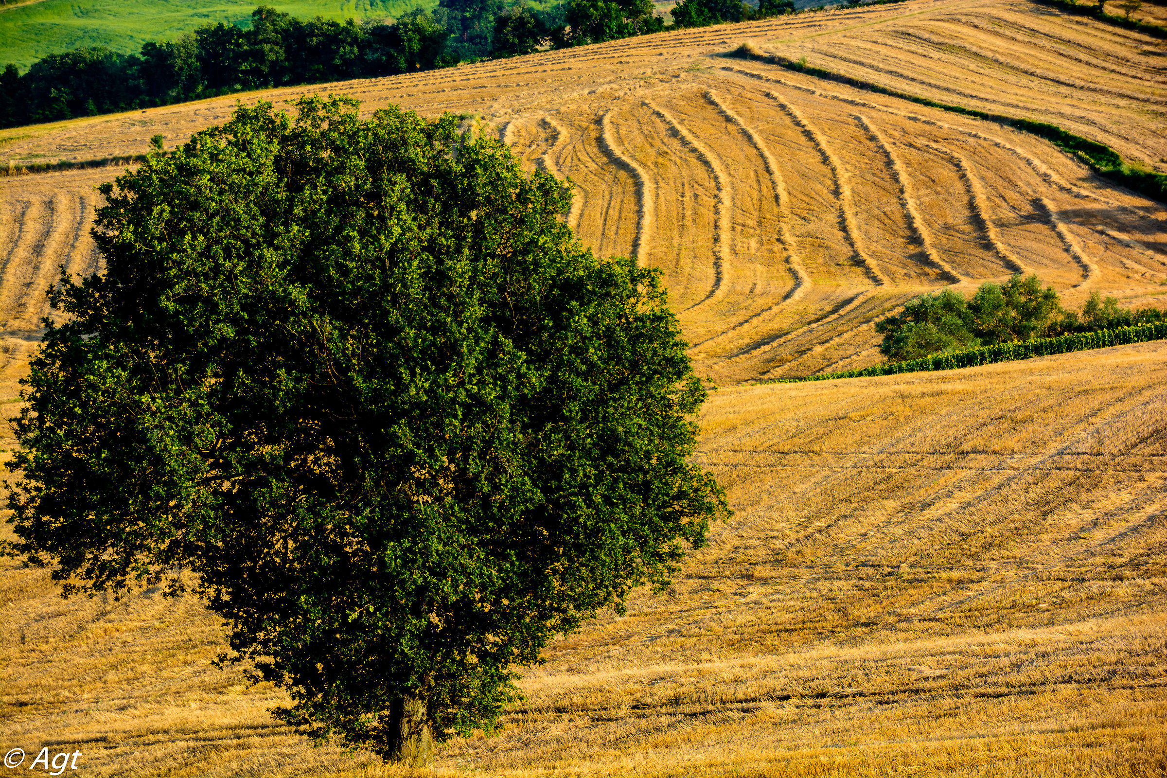 Countryside near Island Plantation PU