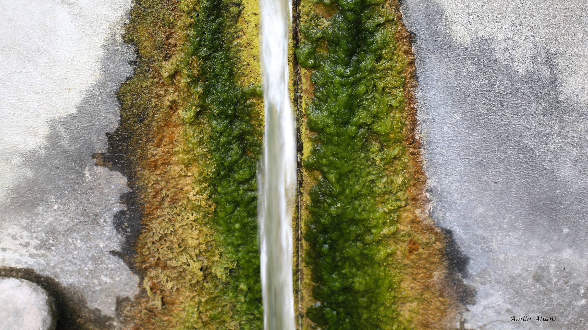 Mosses fountain