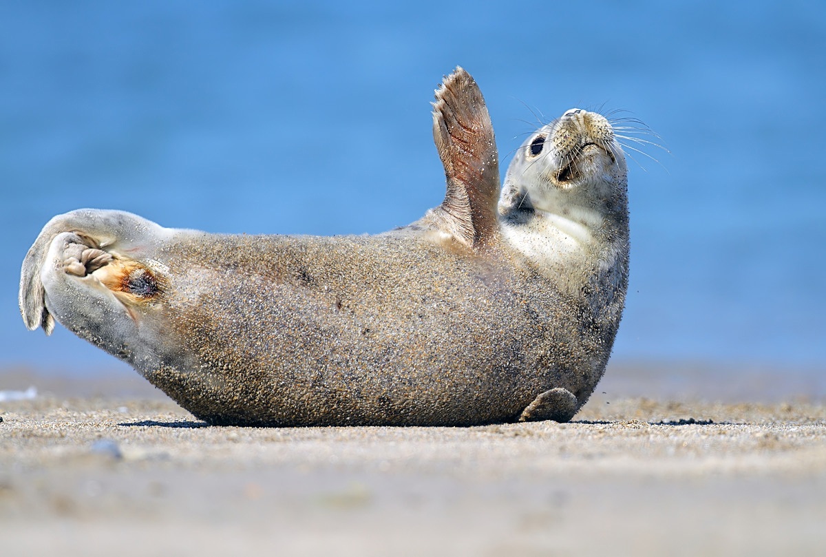 Greetings from Helgoland