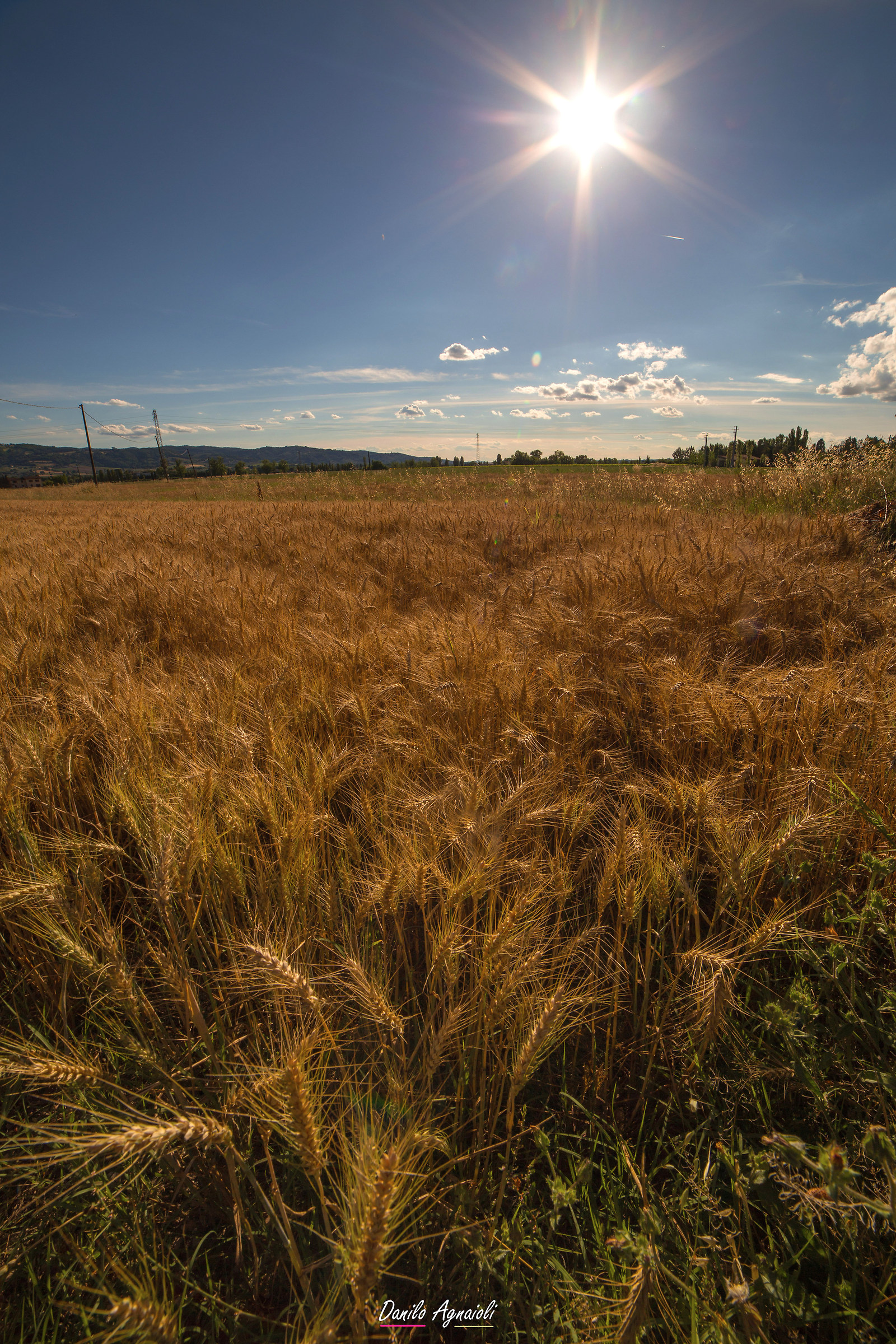Voglio vivere cosi' ,col sole in fronte...........