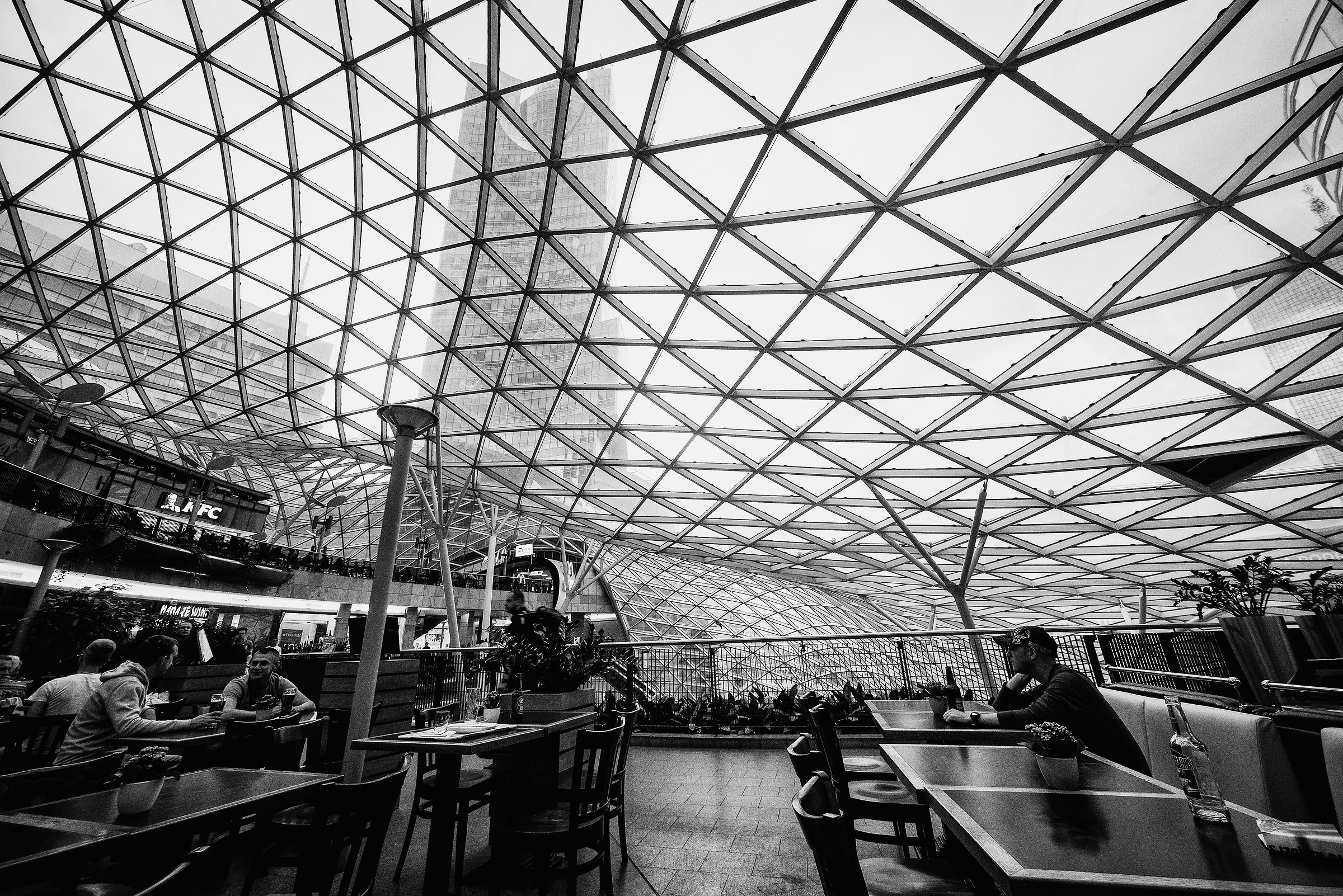 In the network of progress