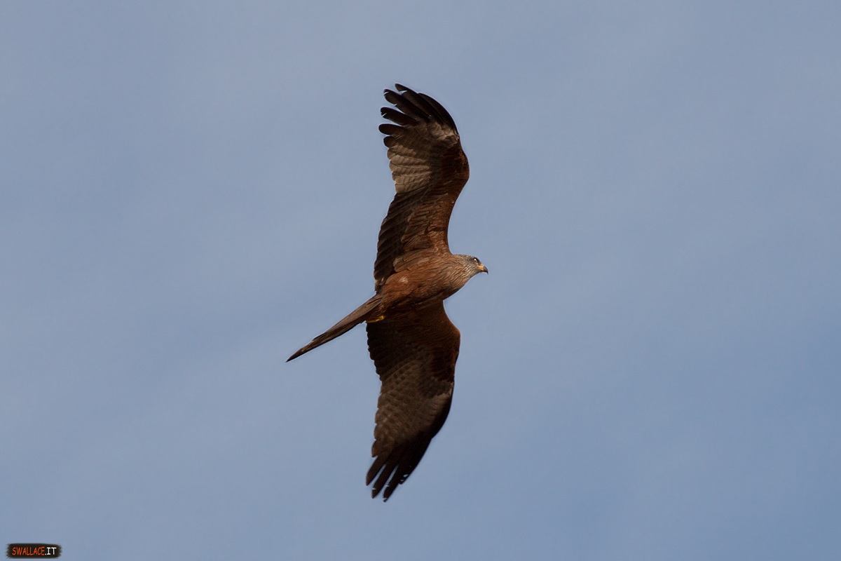 Parque Nacional de Donana