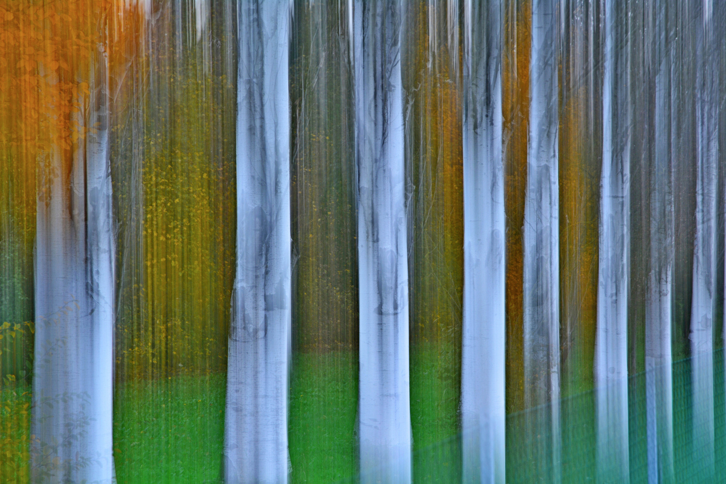 Park Bassani Ferrara