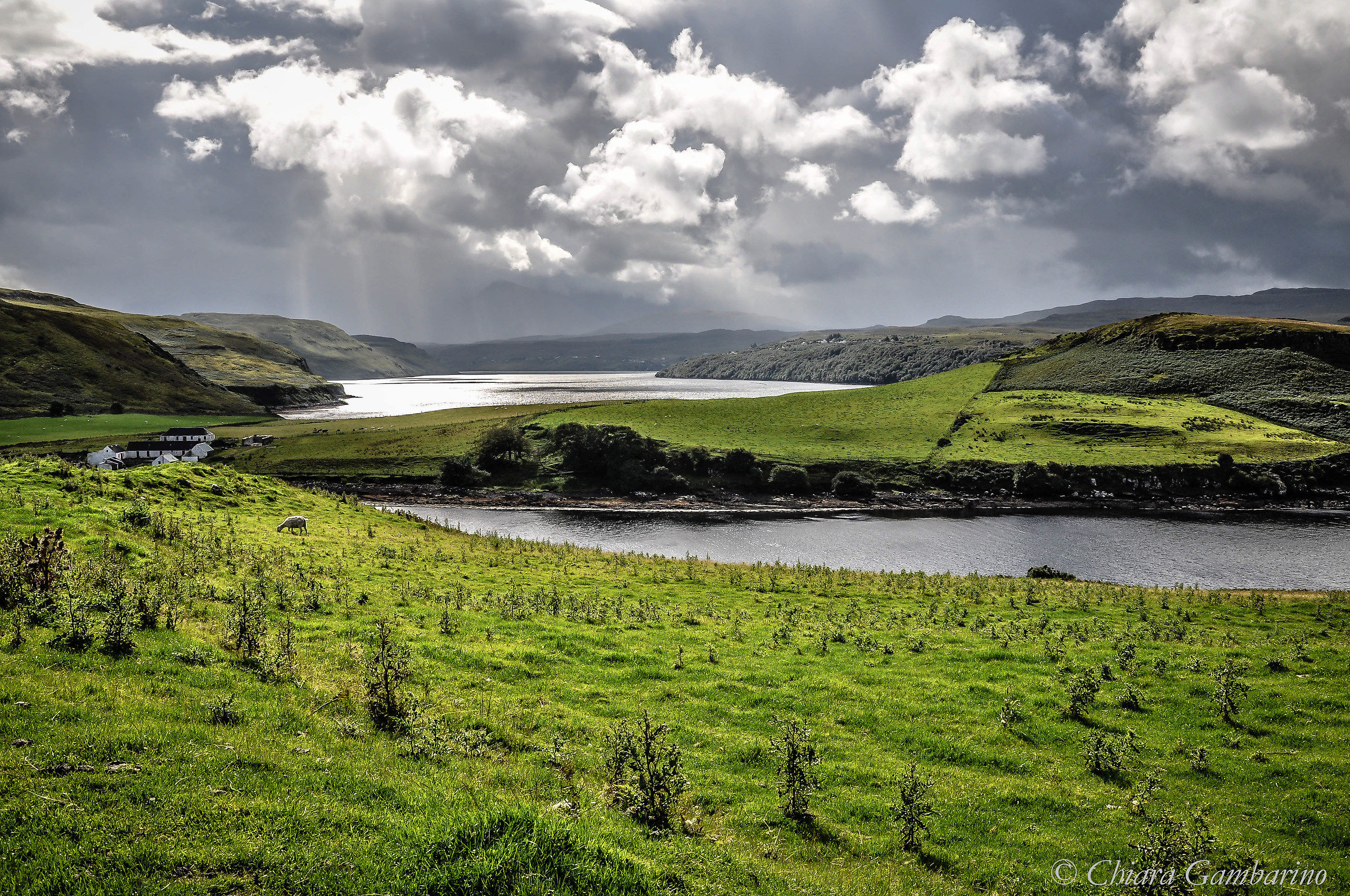 The harmony of the elements