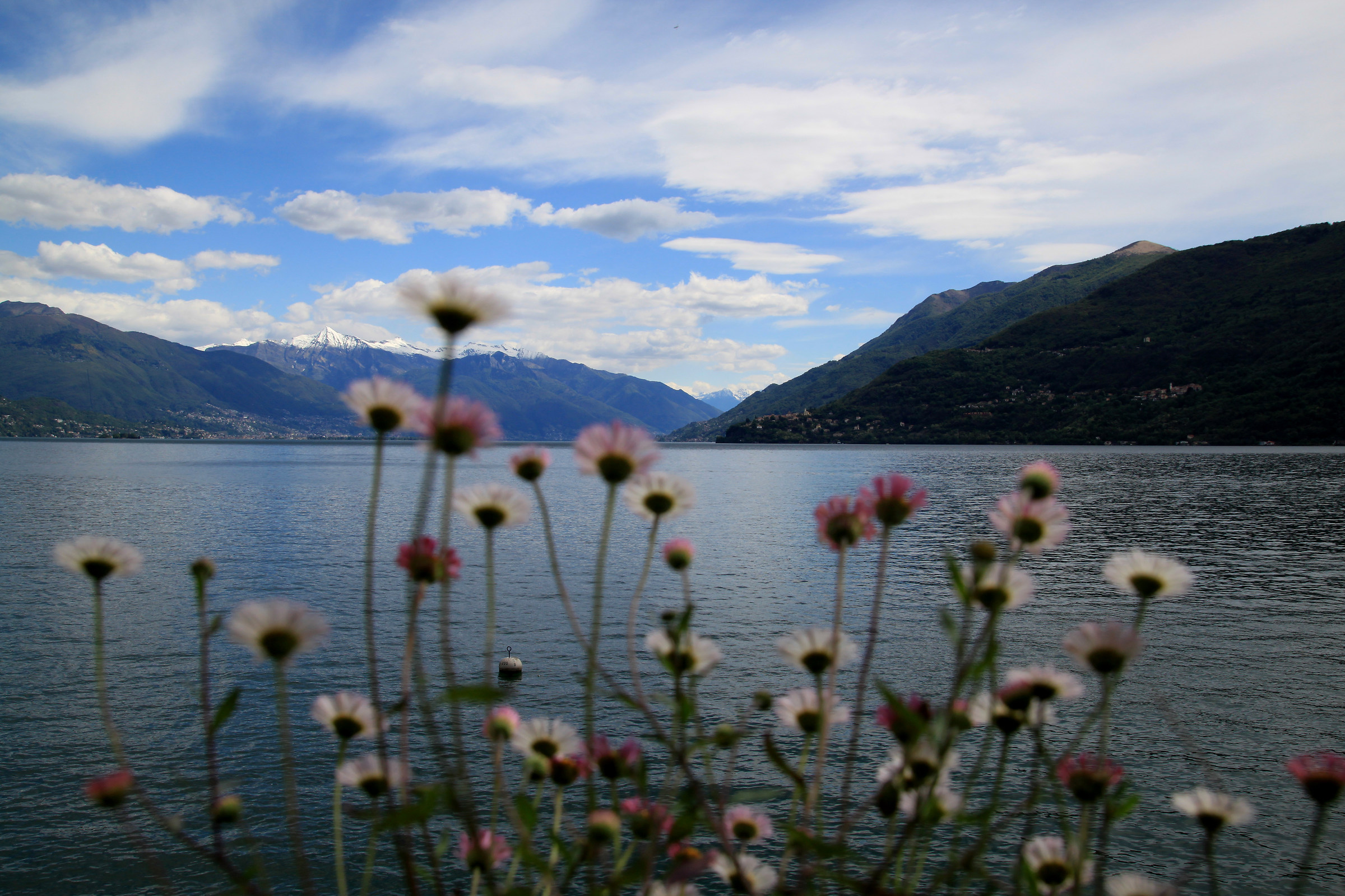 lago maggiore-1-sponda piemontese