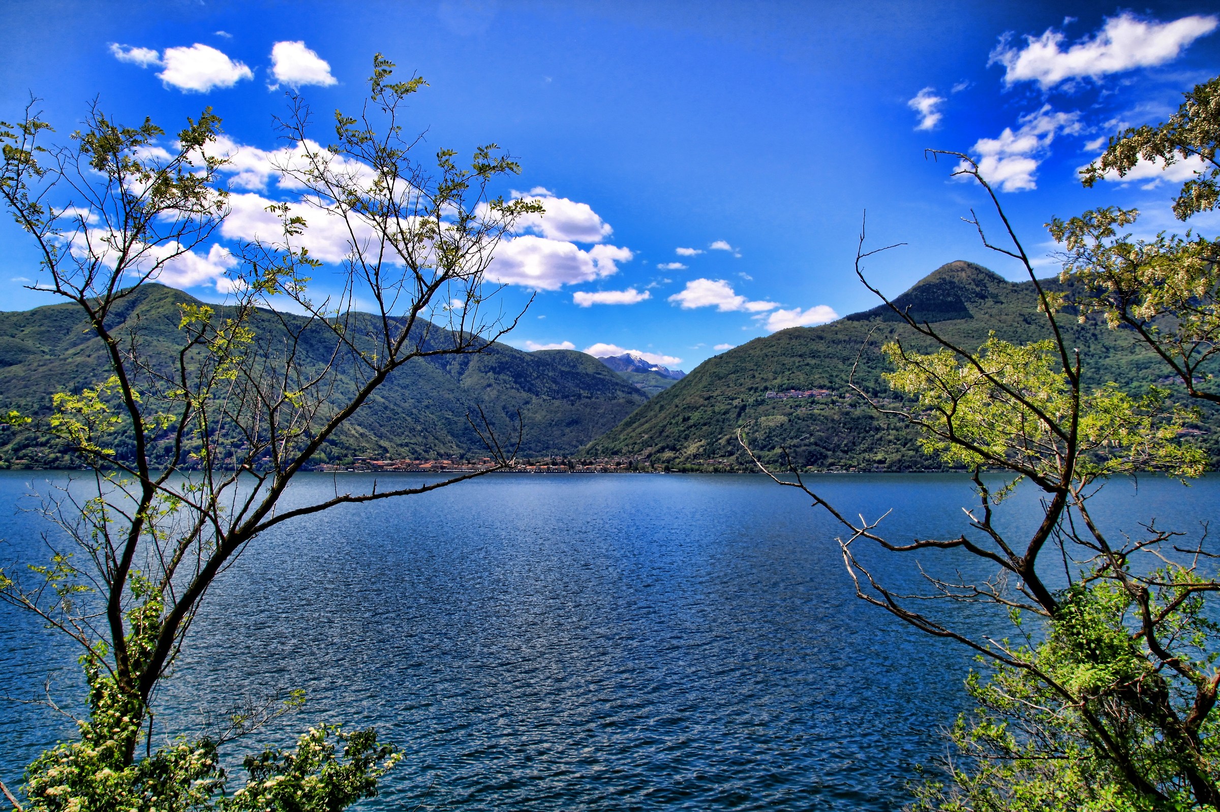 lago maggiore-lato lombardo vicino a luino
