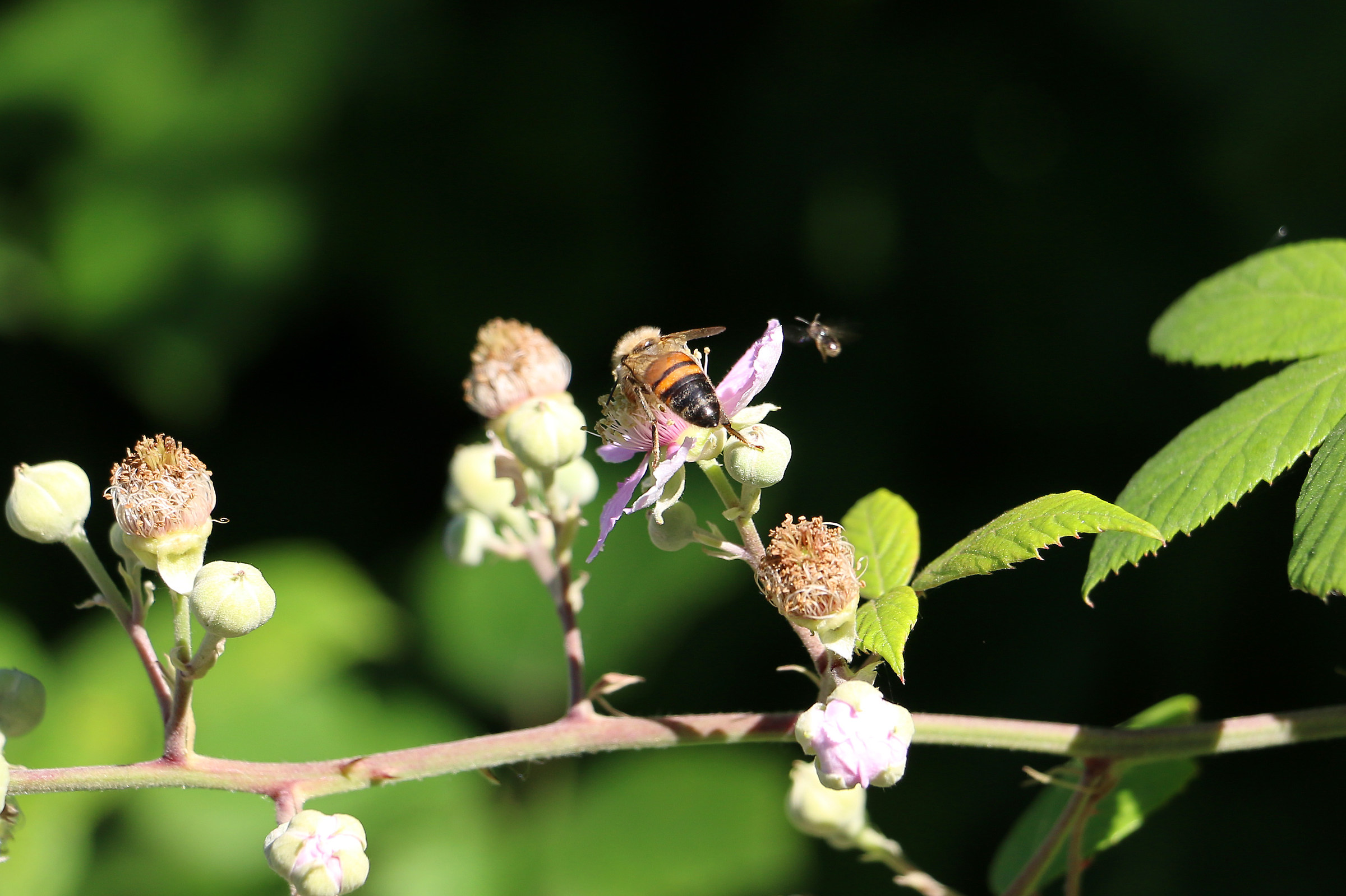 Like Mother like daughter