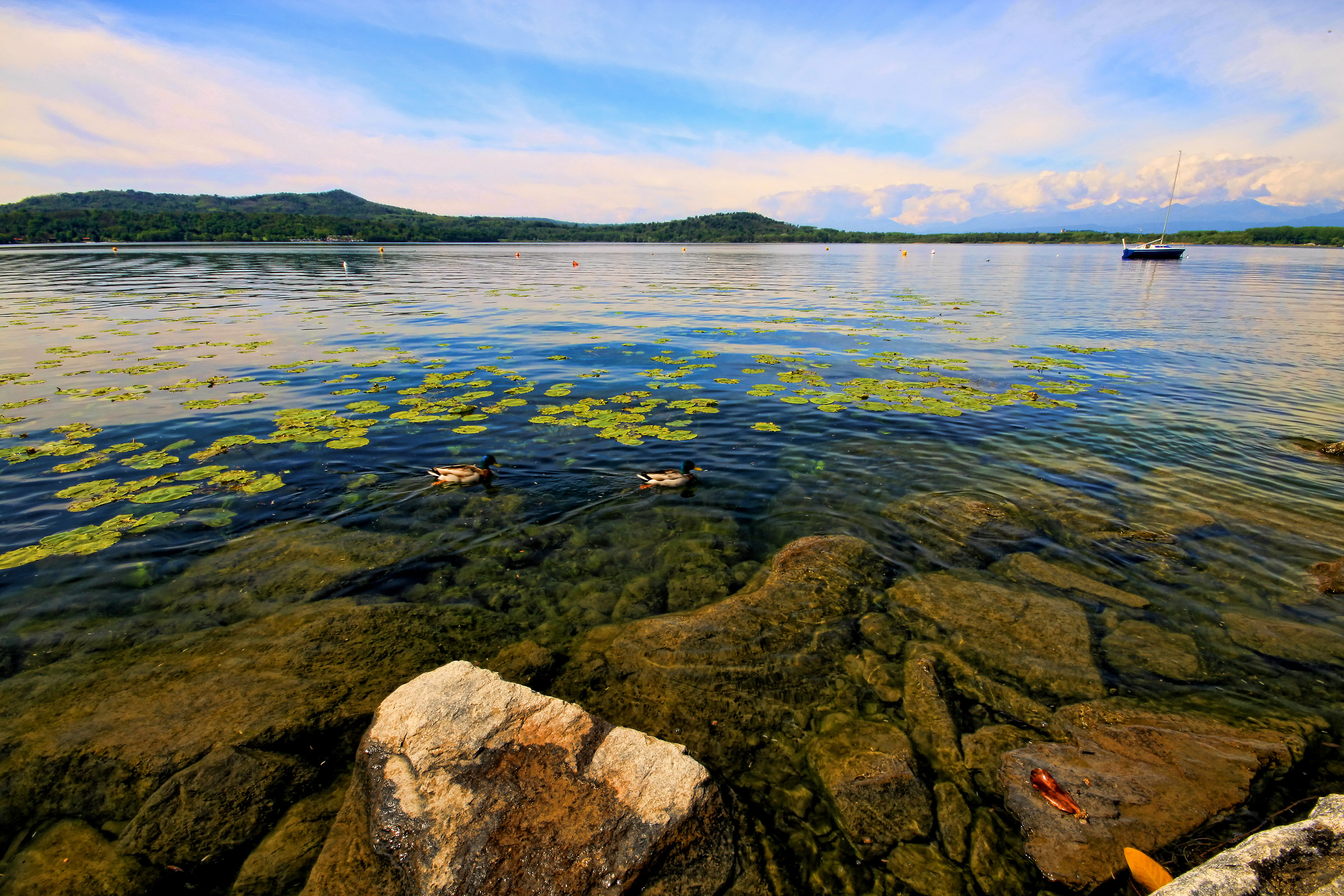 lago viverone torino
