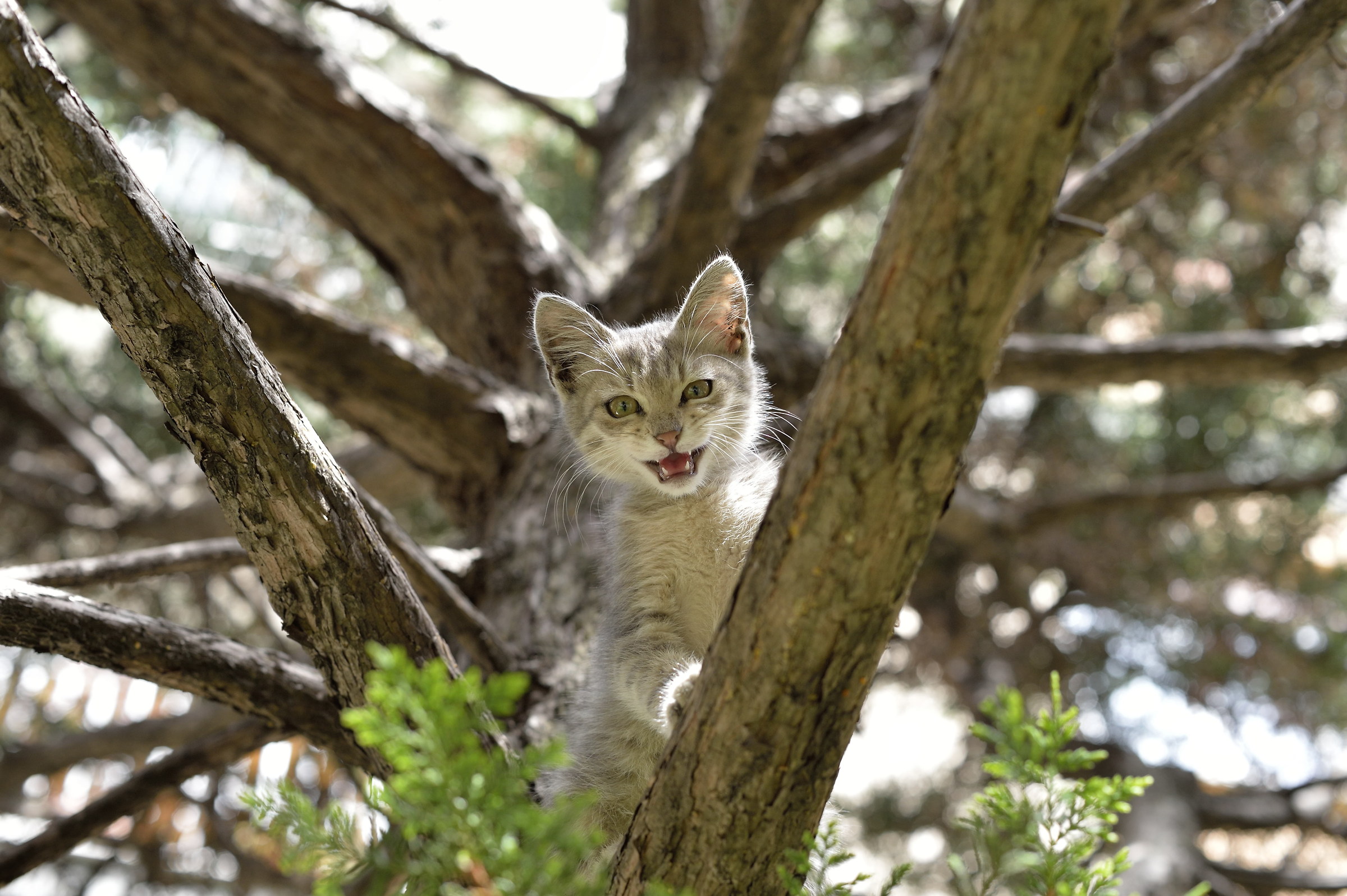 ... Serve un un piccolo aiuto