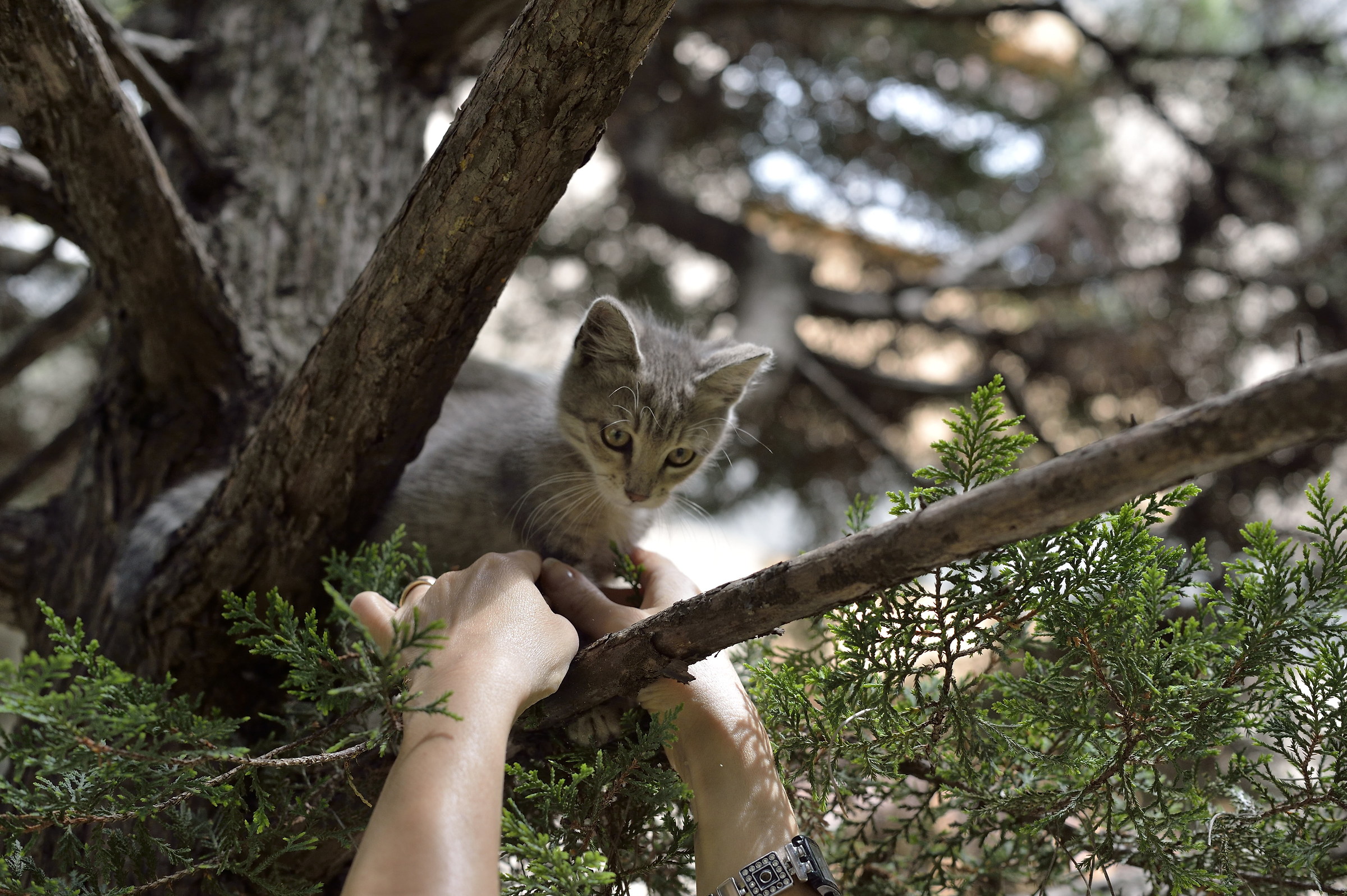 ... Finalmente i soccorsi