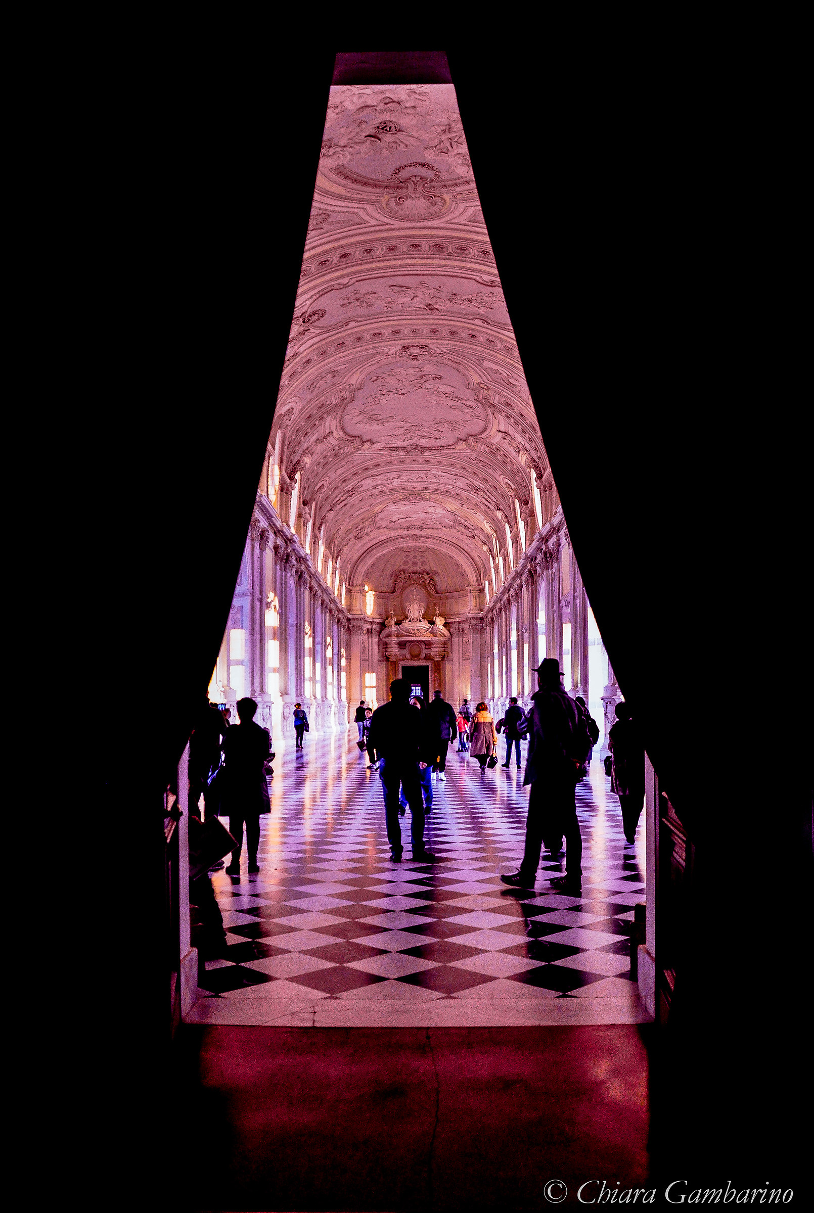 Gallery of Diana in violet