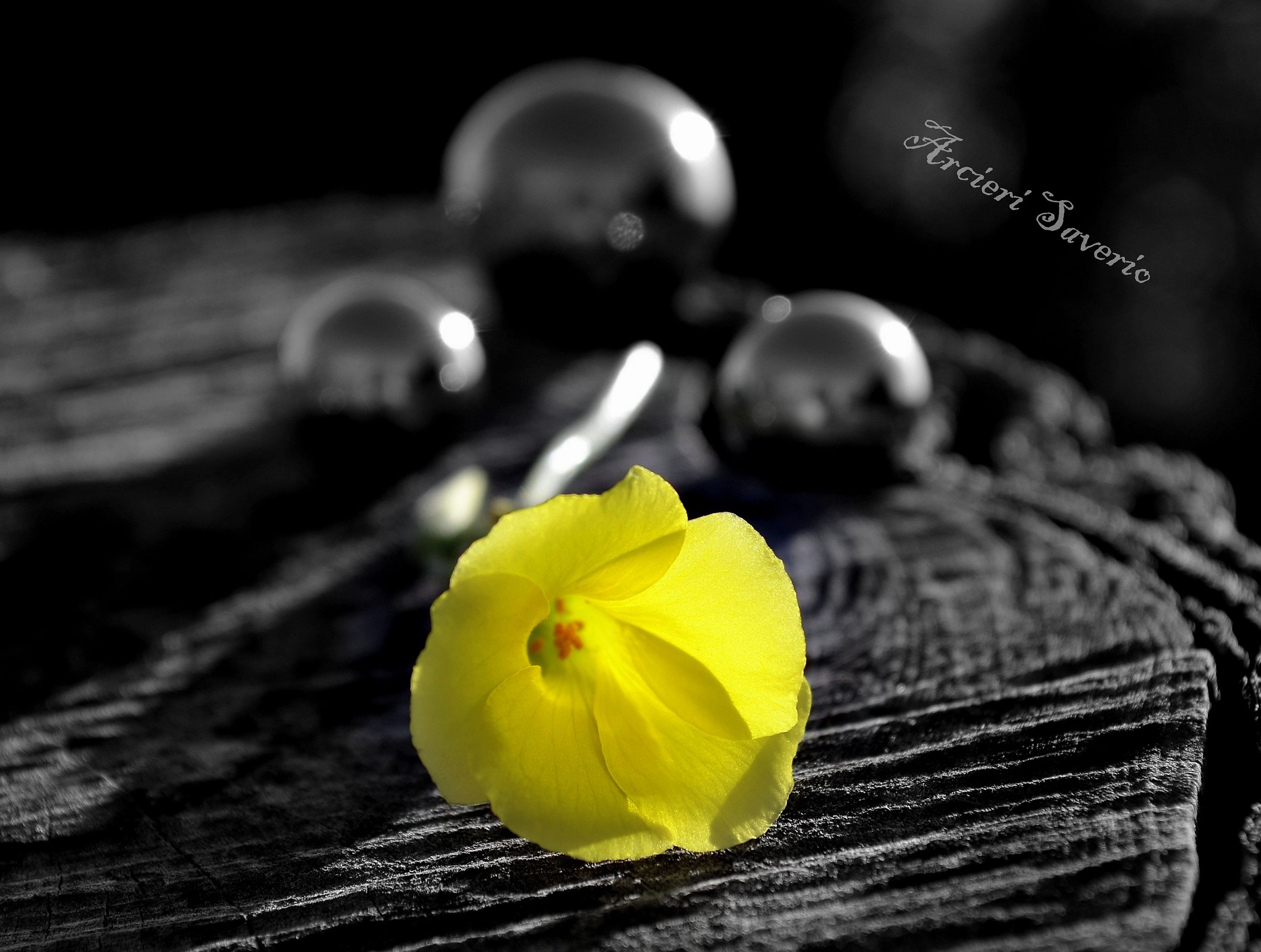 Yellow flower