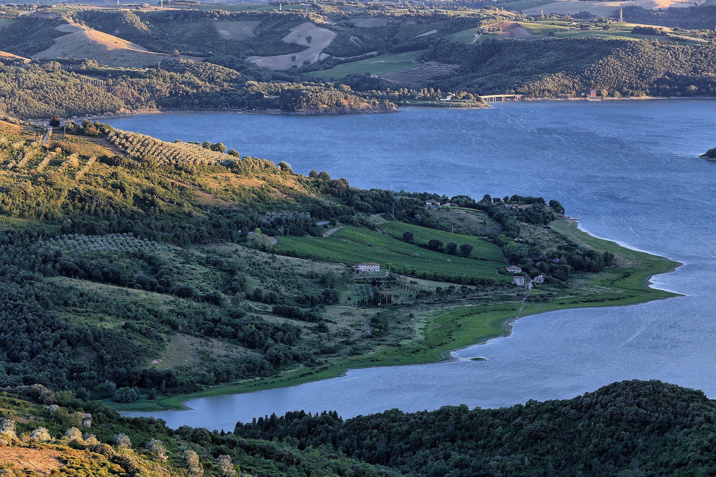 Corbara Lake close up