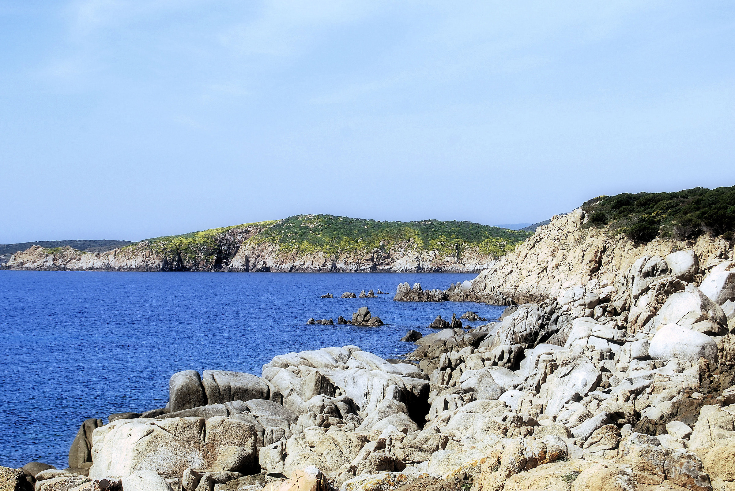 chia head spartivento