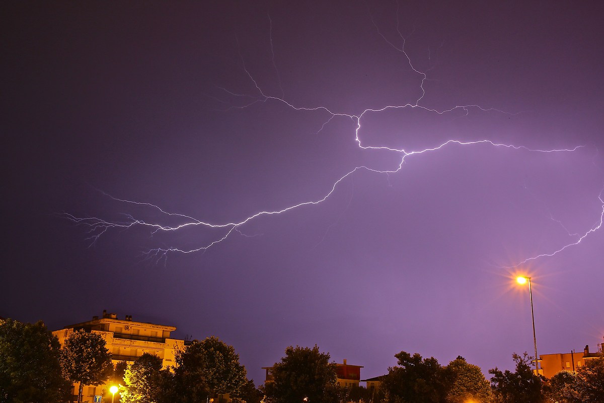 Festival in early summer