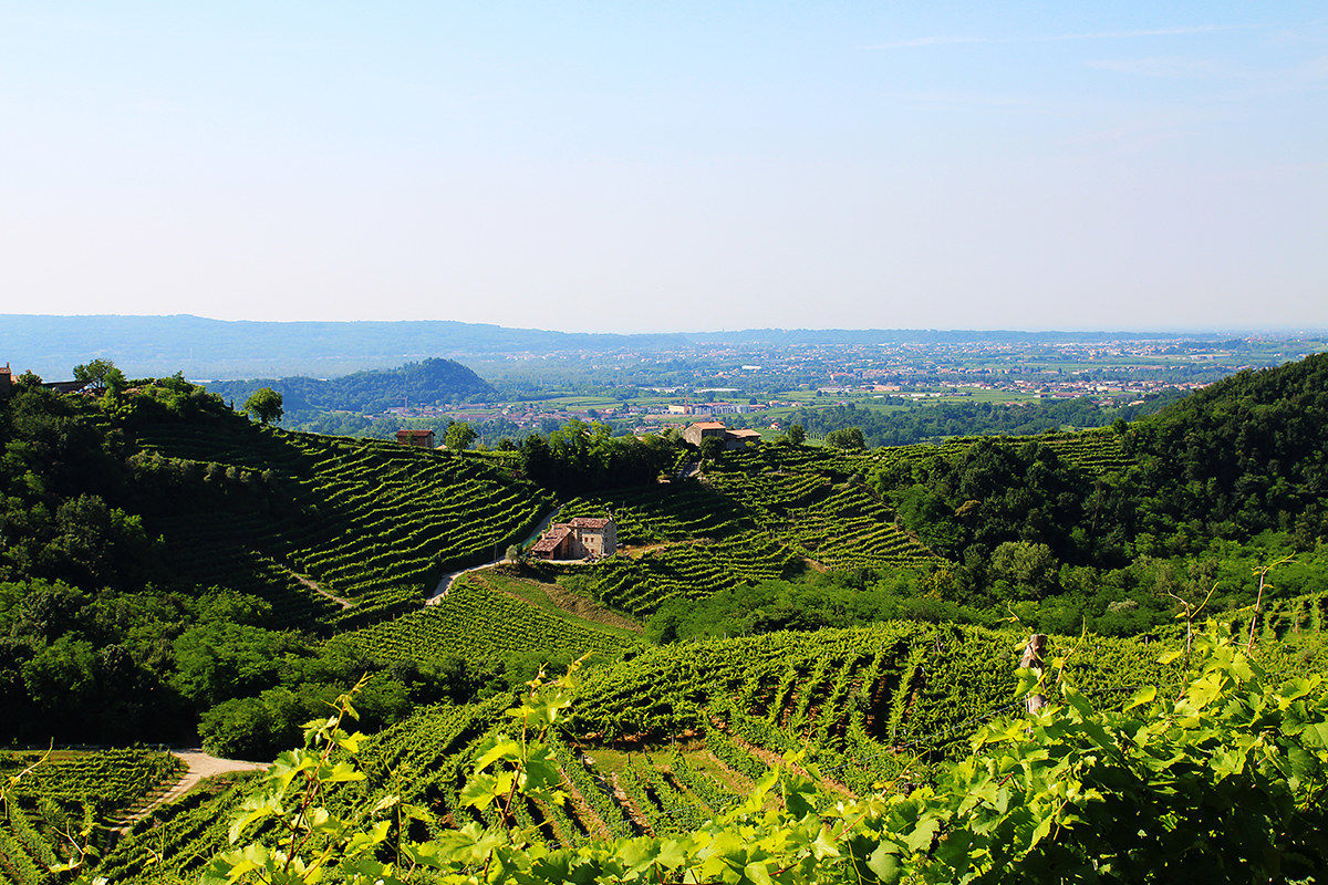 In the heart of the Prosecco