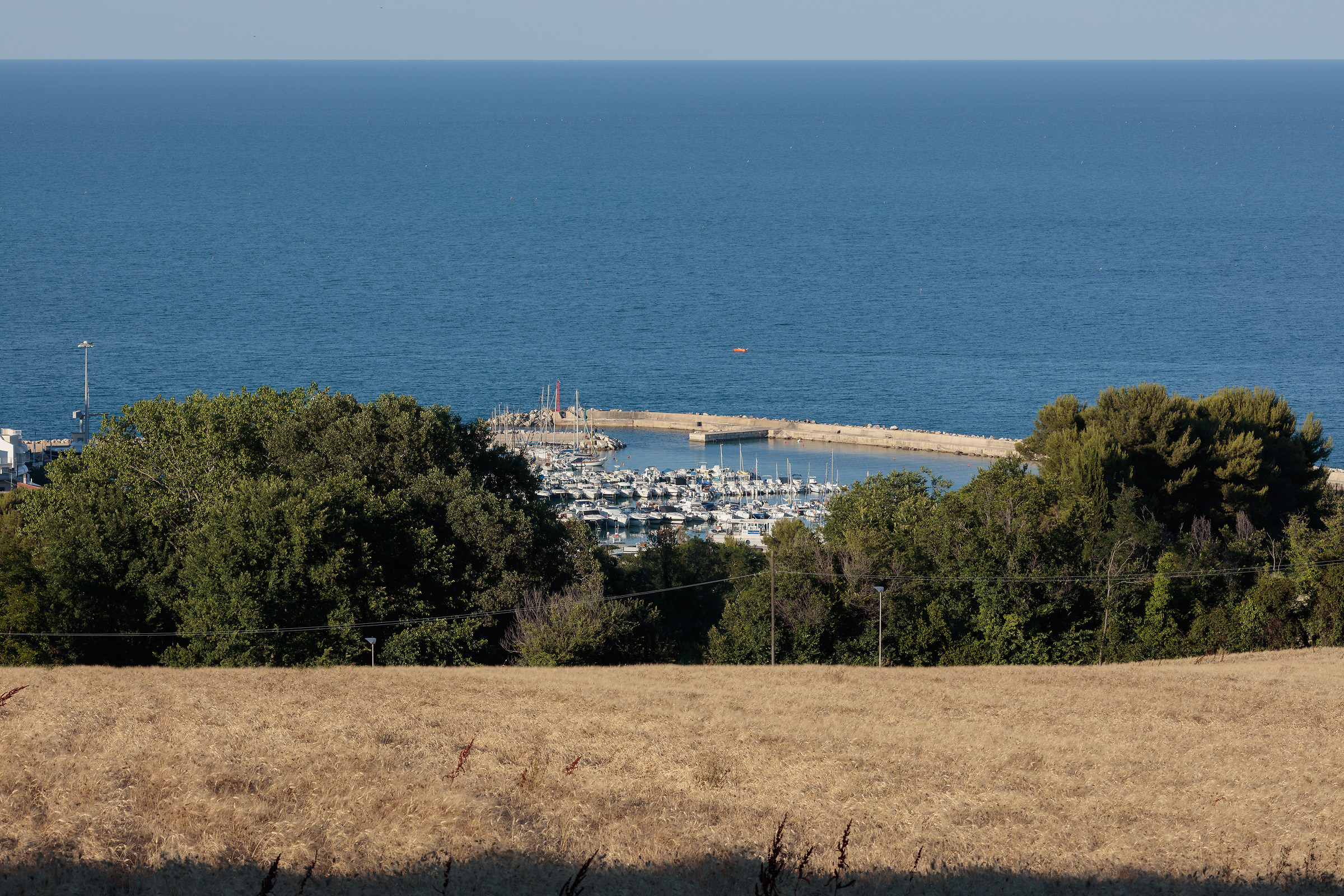 5Dsr landscape#1 f/11