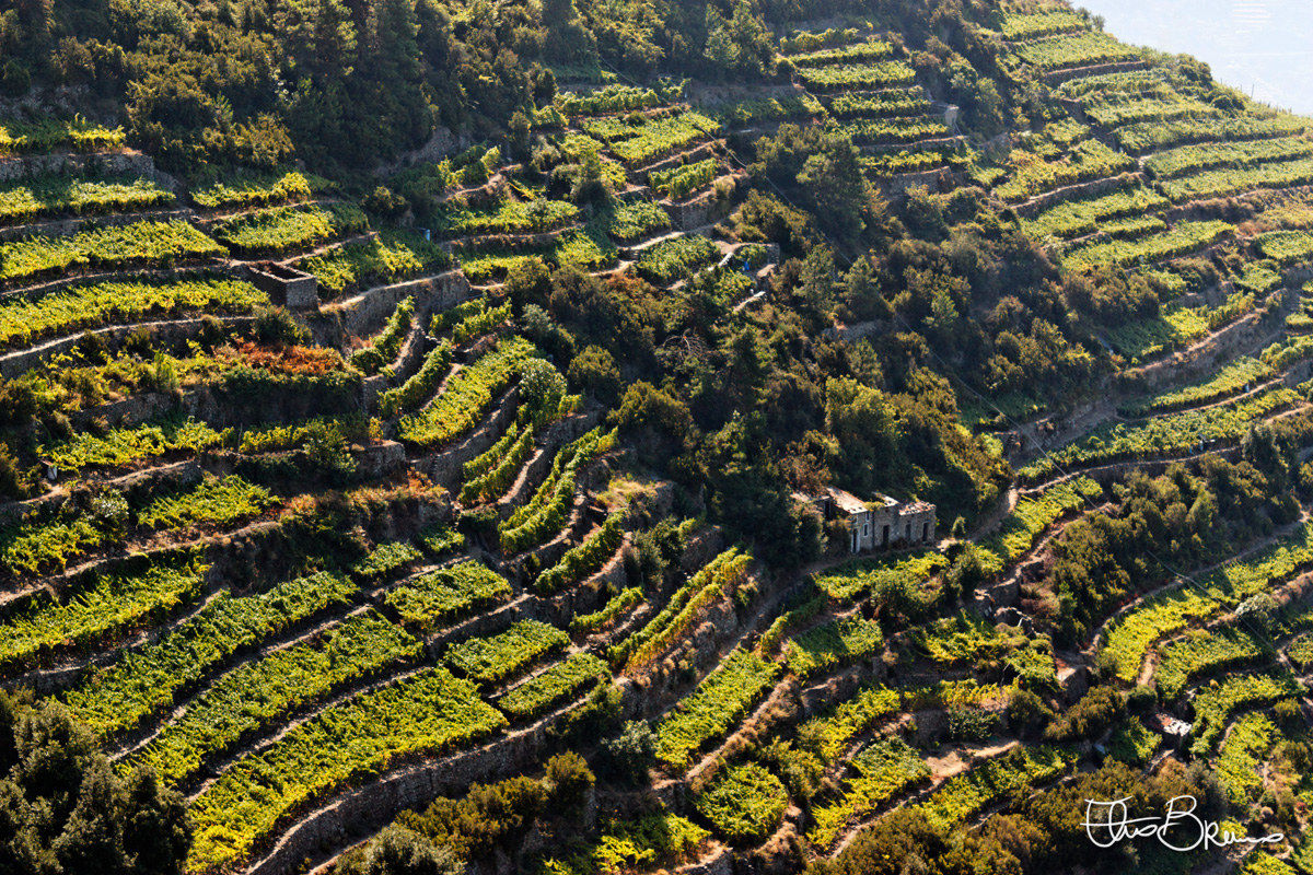 Le Cinque Terre