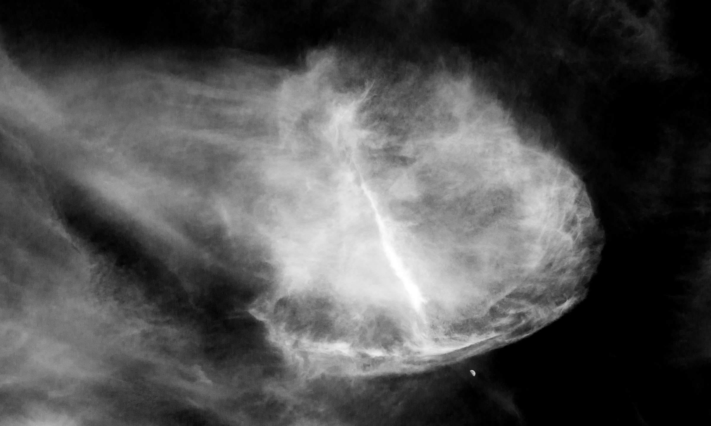 Jellyfish Cloud & Moon