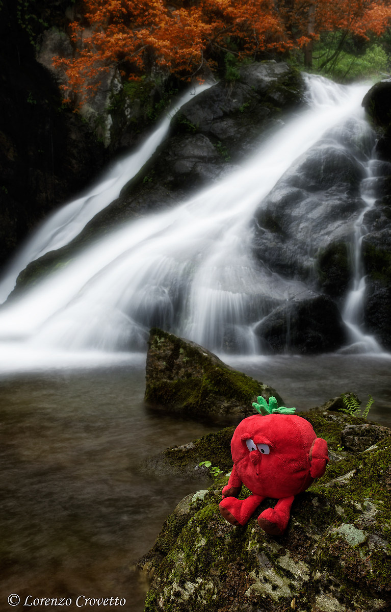 Il Guardiano della Cascata