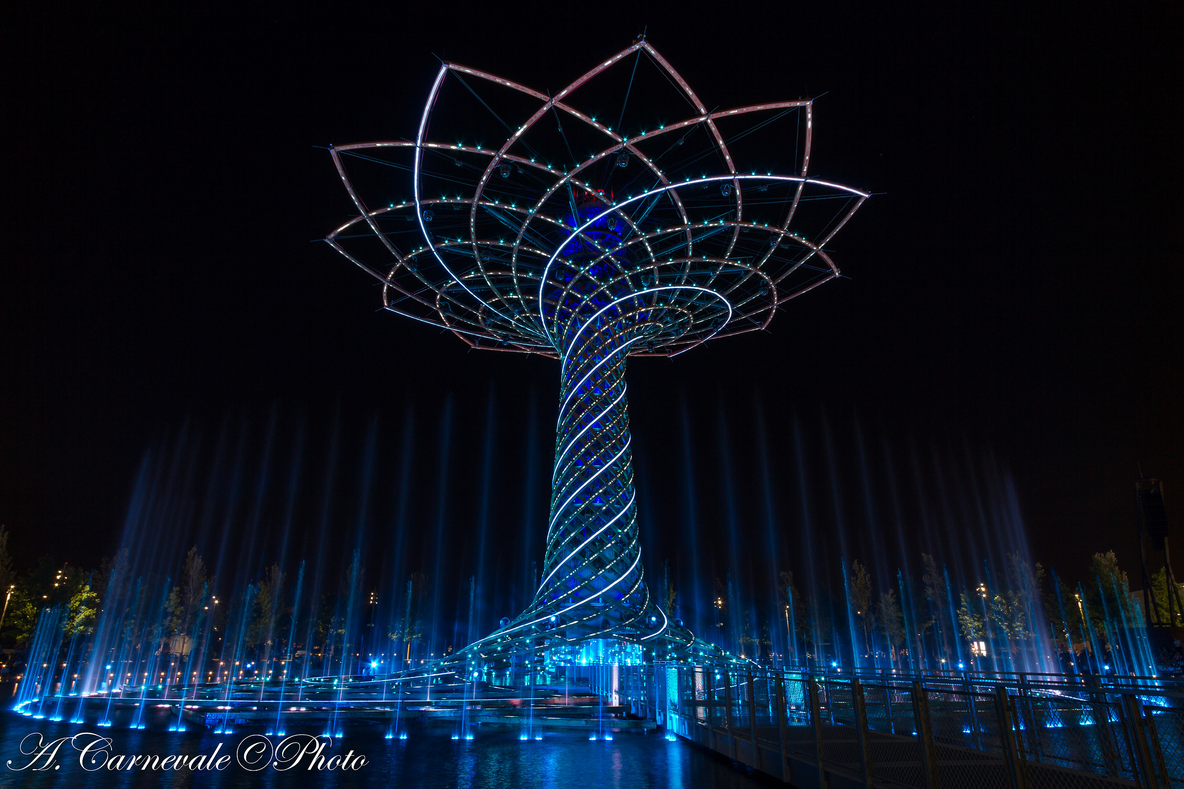 Albero della Vita expo