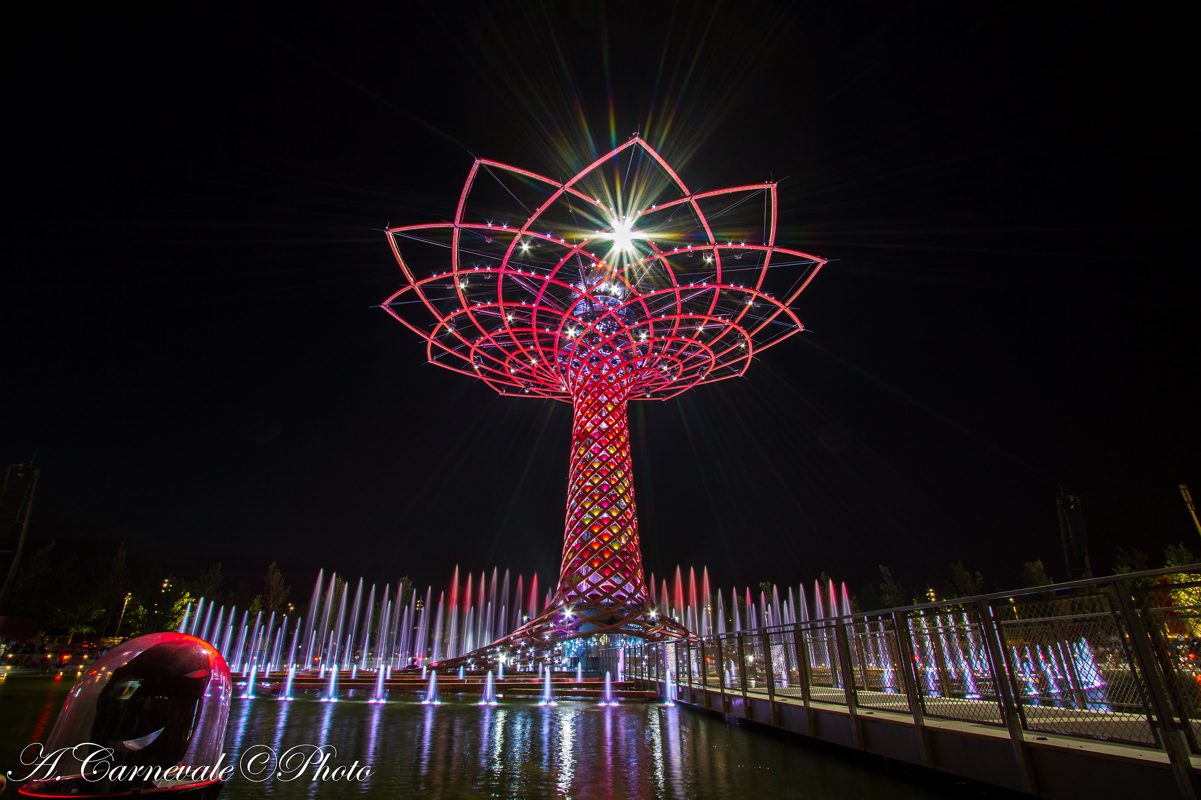 Albero della Vita expo