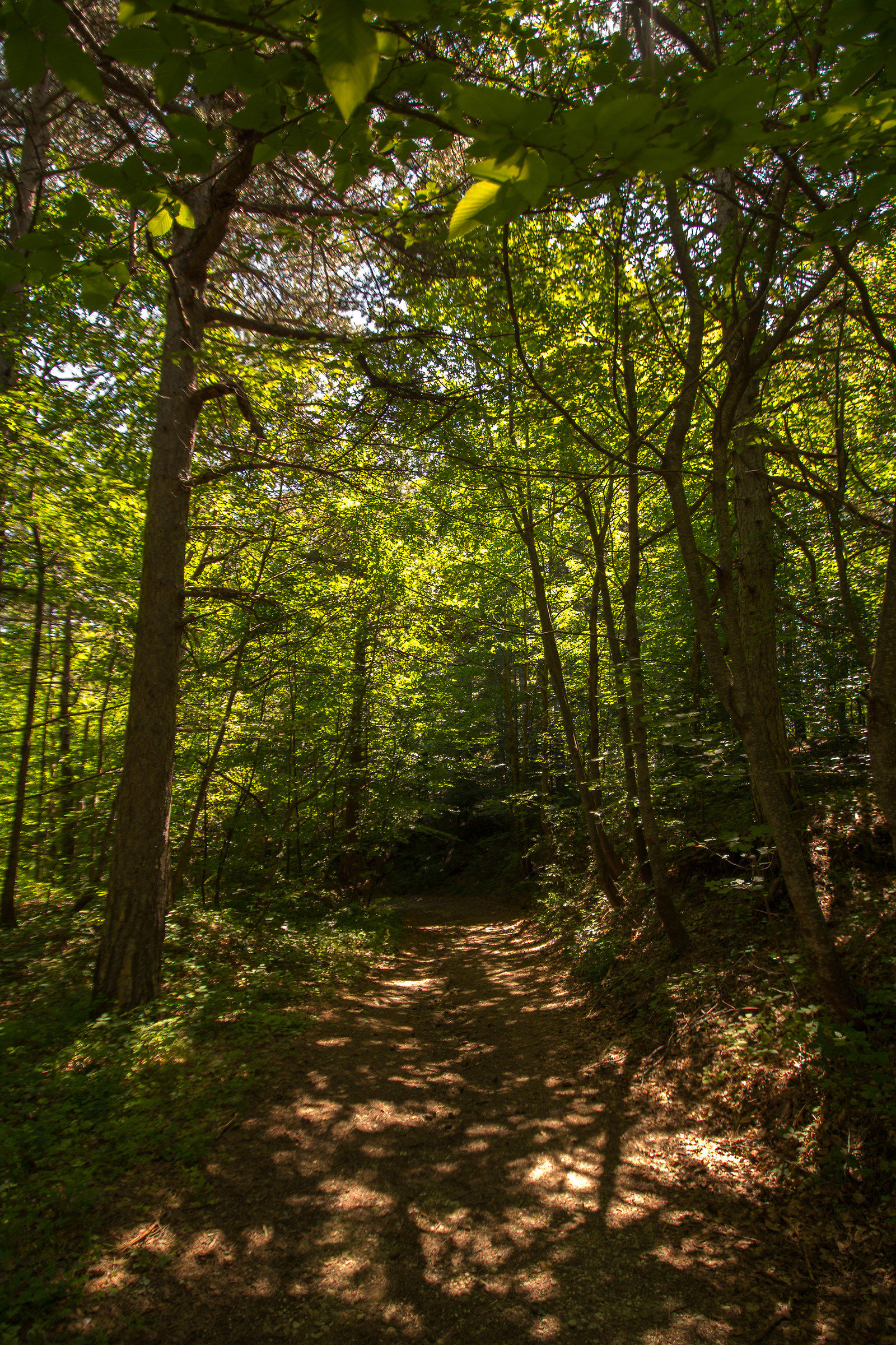 Piane delle Mele (Parco Nazionale della Majella)