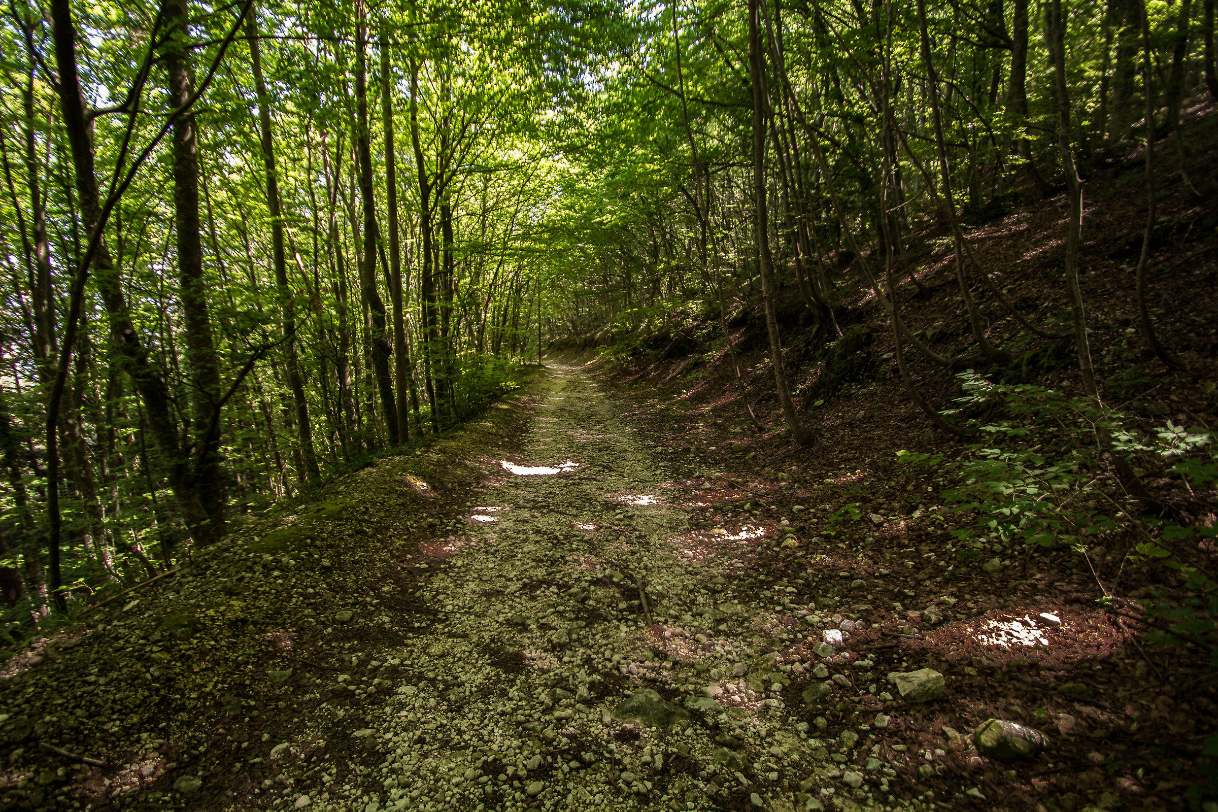 Piane delle Mele (Parco Nazionale della Majella)