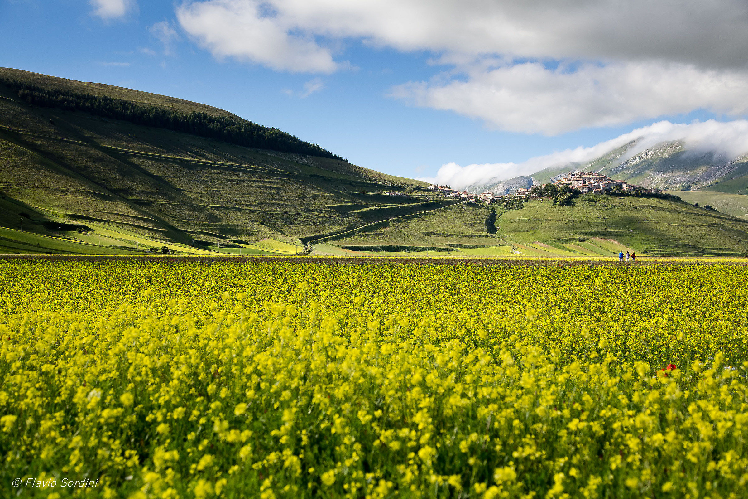 Castelluccio