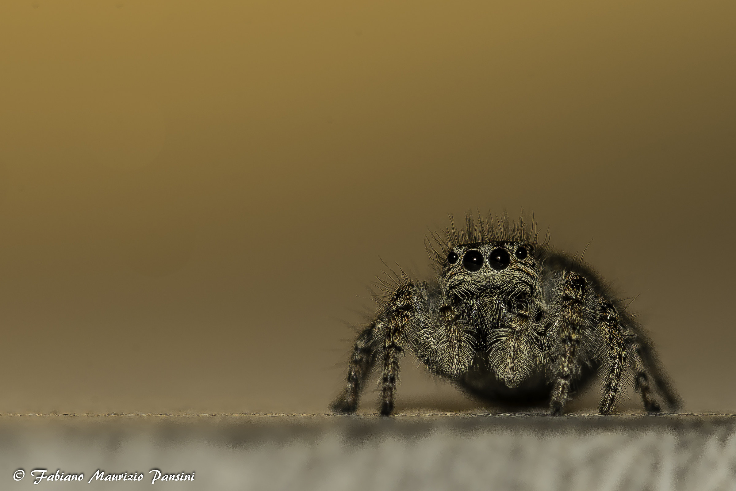 Sunset in the company