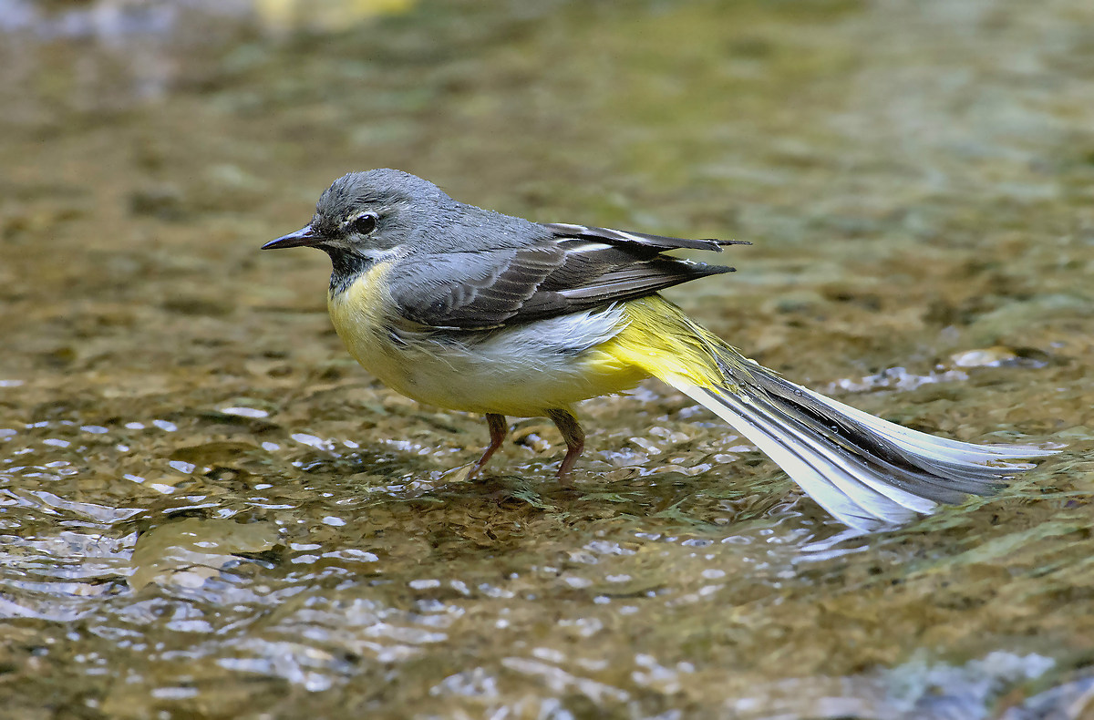 a nice bath is what it takes