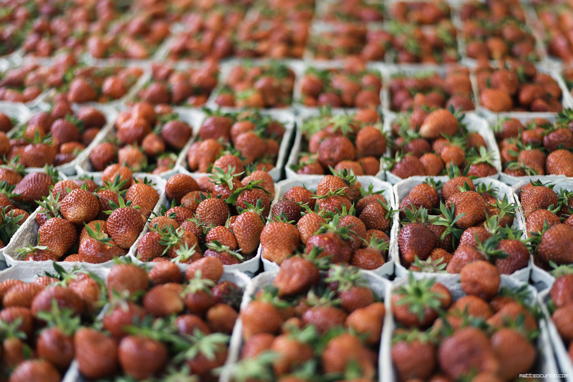 Market Strawberries