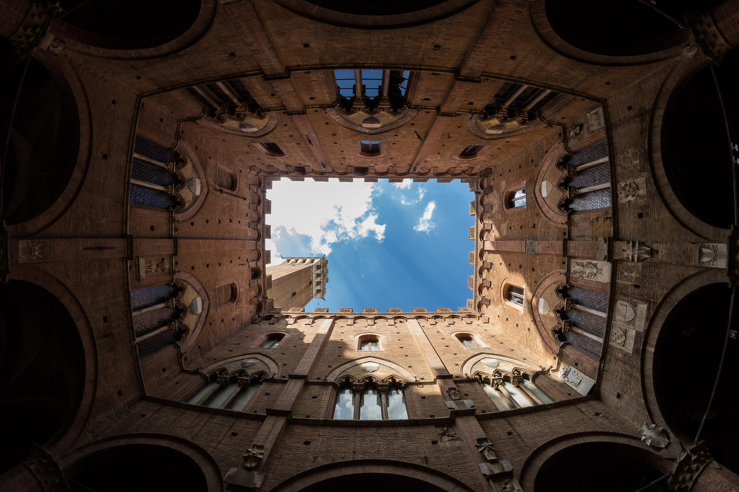 Torre del mangia da dentro la pancia :)