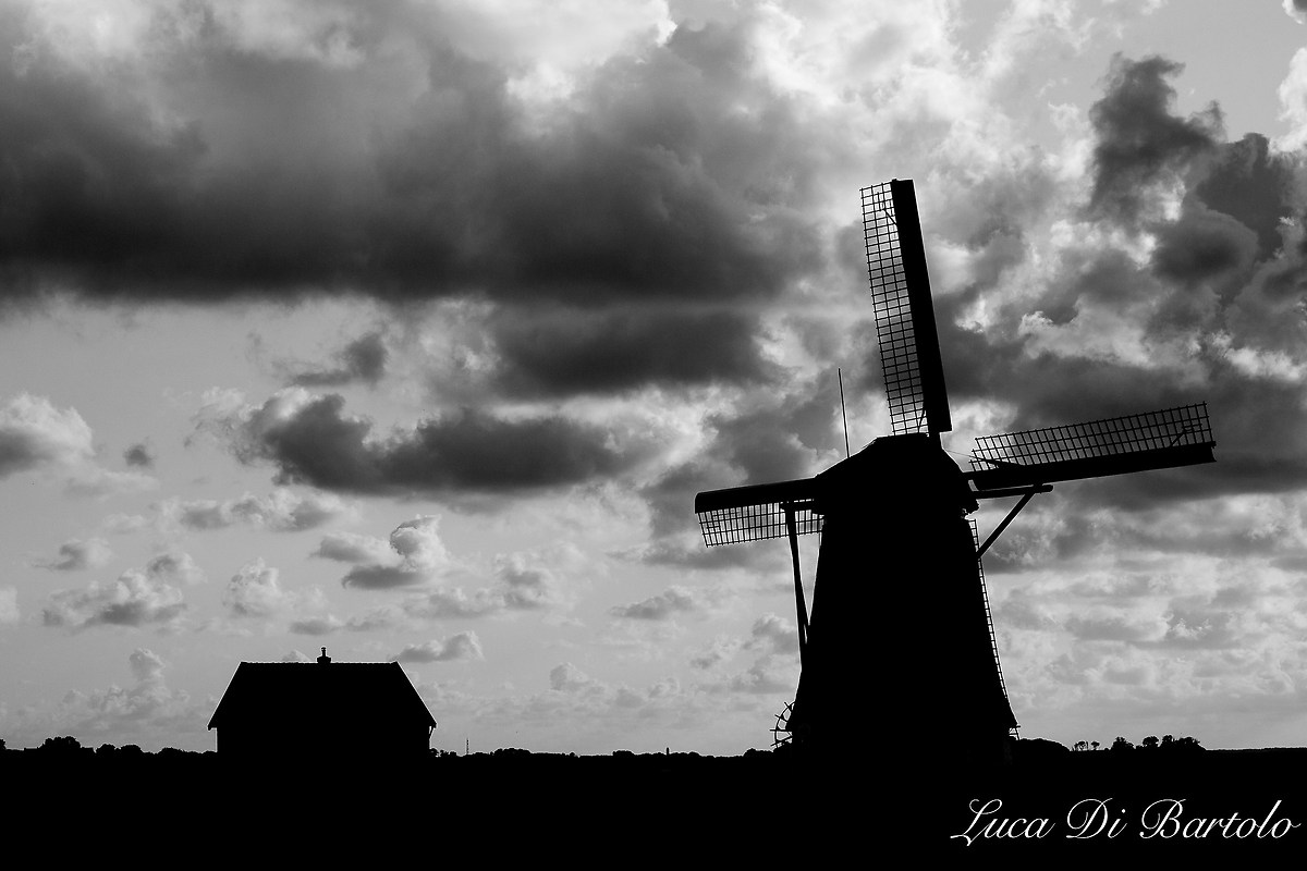 Mill Texel