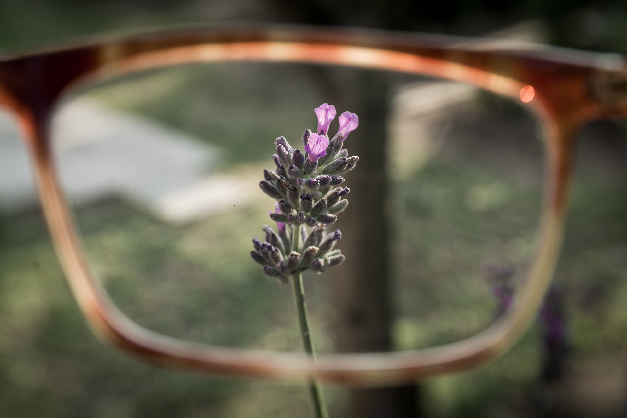 ho messo gli occhiali alla Nikon!!!