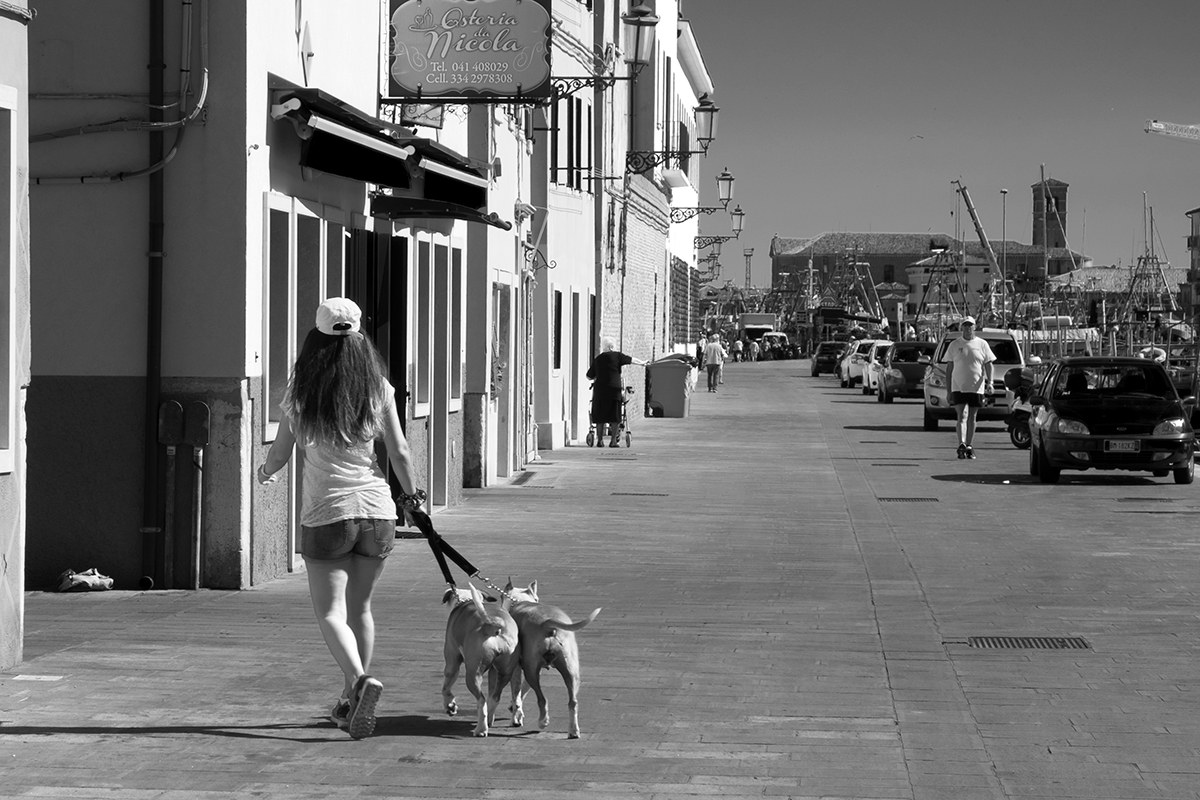 Fine passeggiata si ritorna