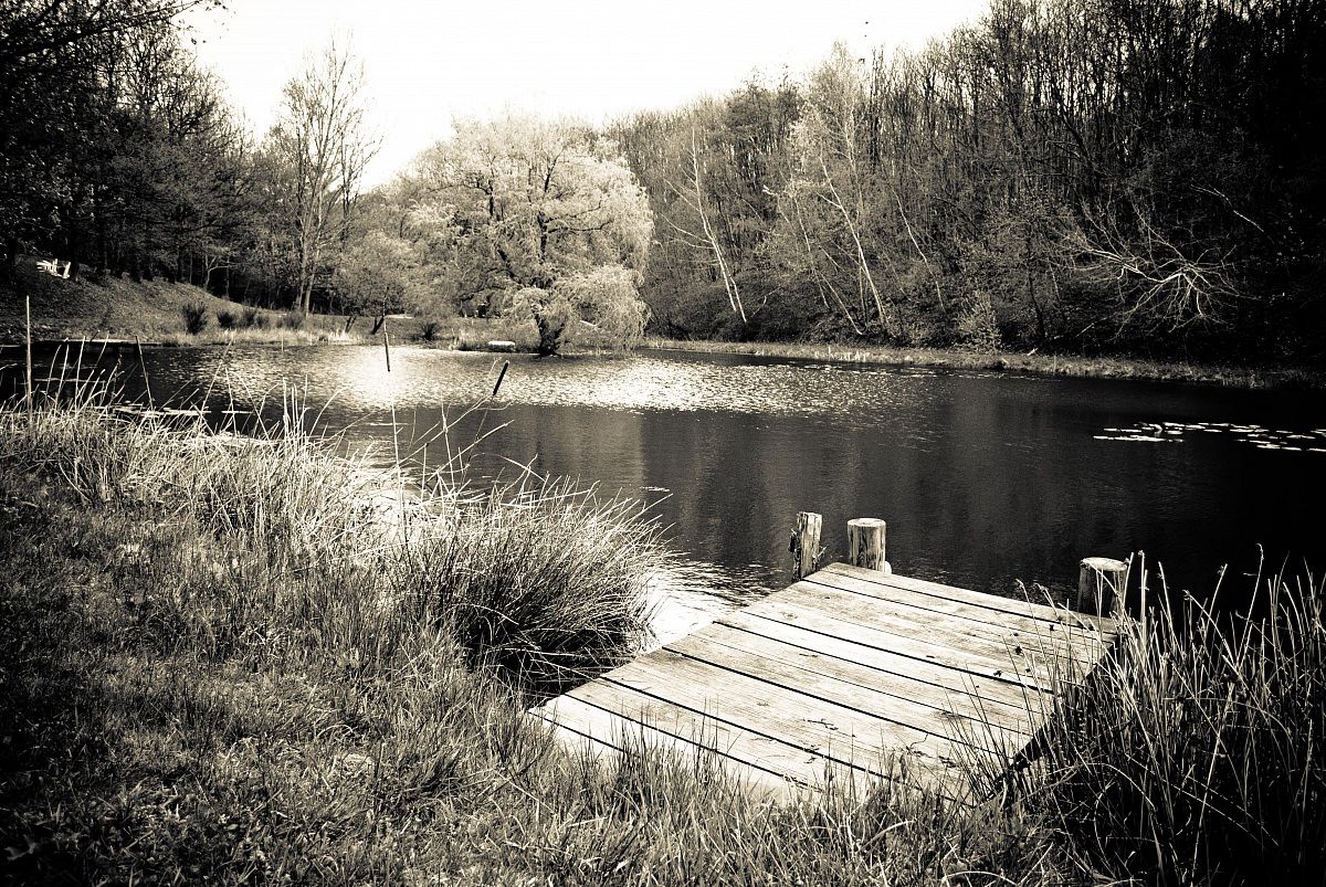 Lo stagno Albert Quarré