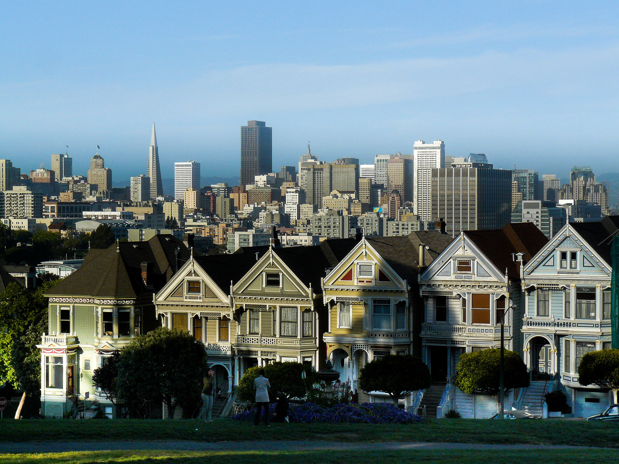 Painted Ladies