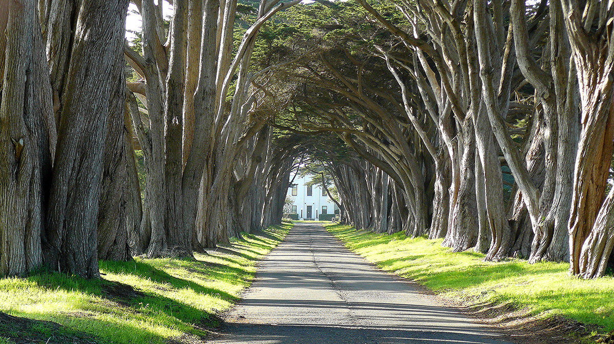 Point Reyes - Sir francis Drake Boulevard