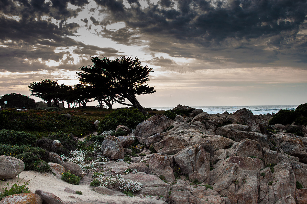 Pacific Grove