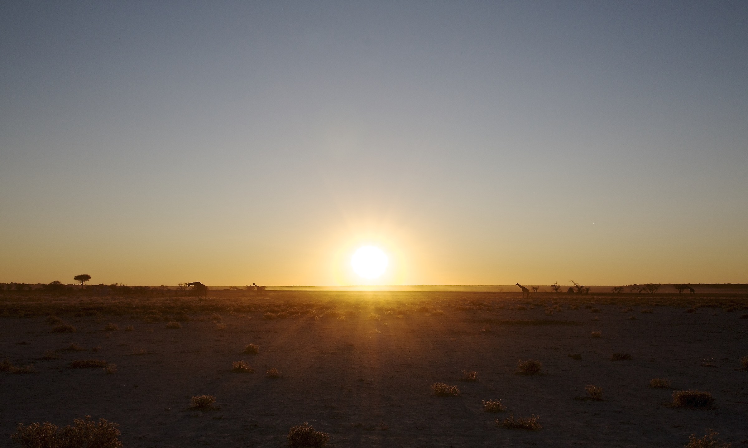 No lines beyond the horizon